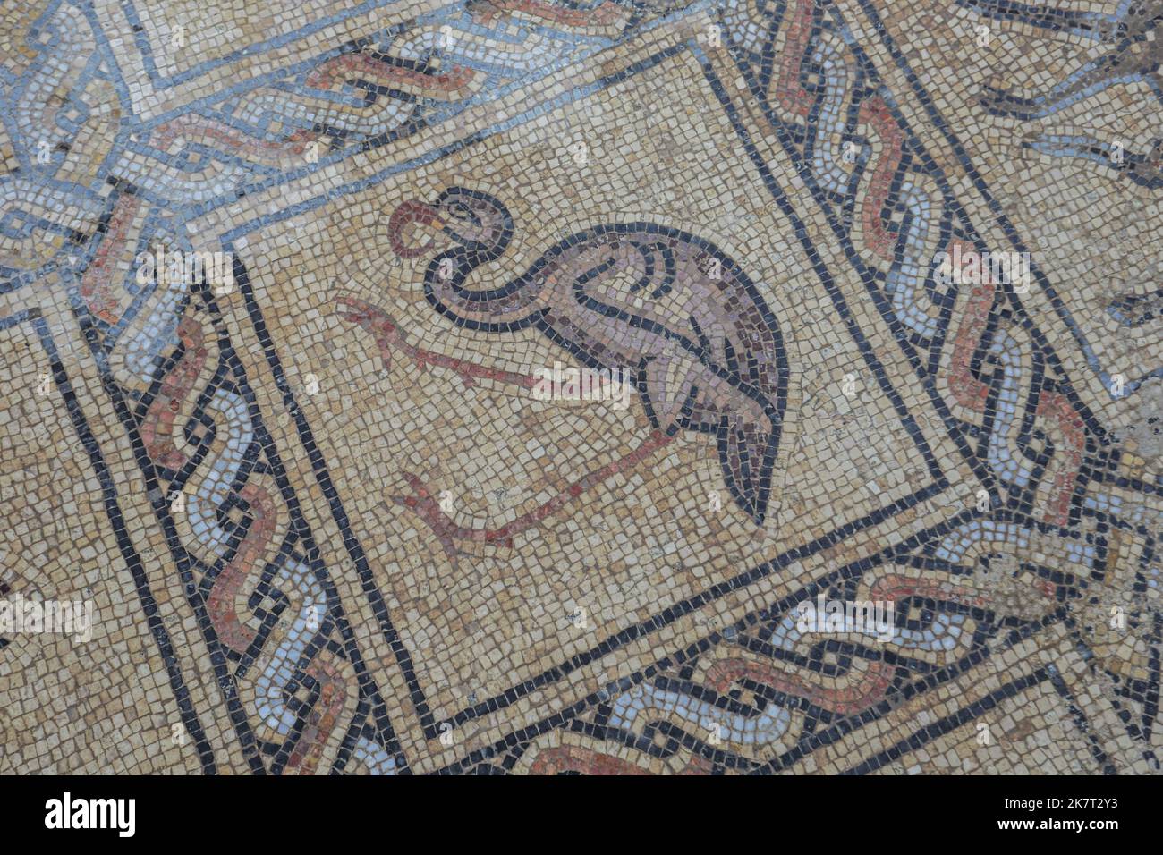 Détail du sol en mosaïque de l'époque byzantine découvert récemment par un agriculteur palestinien à Bureij, dans le centre de la bande de Gaza. Le fermier palestinien dit qu'il a trébuché dessus tout en plantant un olivier le printemps dernier et l'a tranquillement fouillé pendant plusieurs mois avec son fils. Les experts disent que la découverte du sol en mosaïque - qui comprend 17 images bien conservées d'animaux et d'oiseaux - est l'un des plus grands trésors archéologiques de Gaza. Ils disent qu'il attire l'attention sur la nécessité de protéger les antiquités de Gaza, qui sont menacées par le manque de ressources et la menace constante de lutter contre Banque D'Images