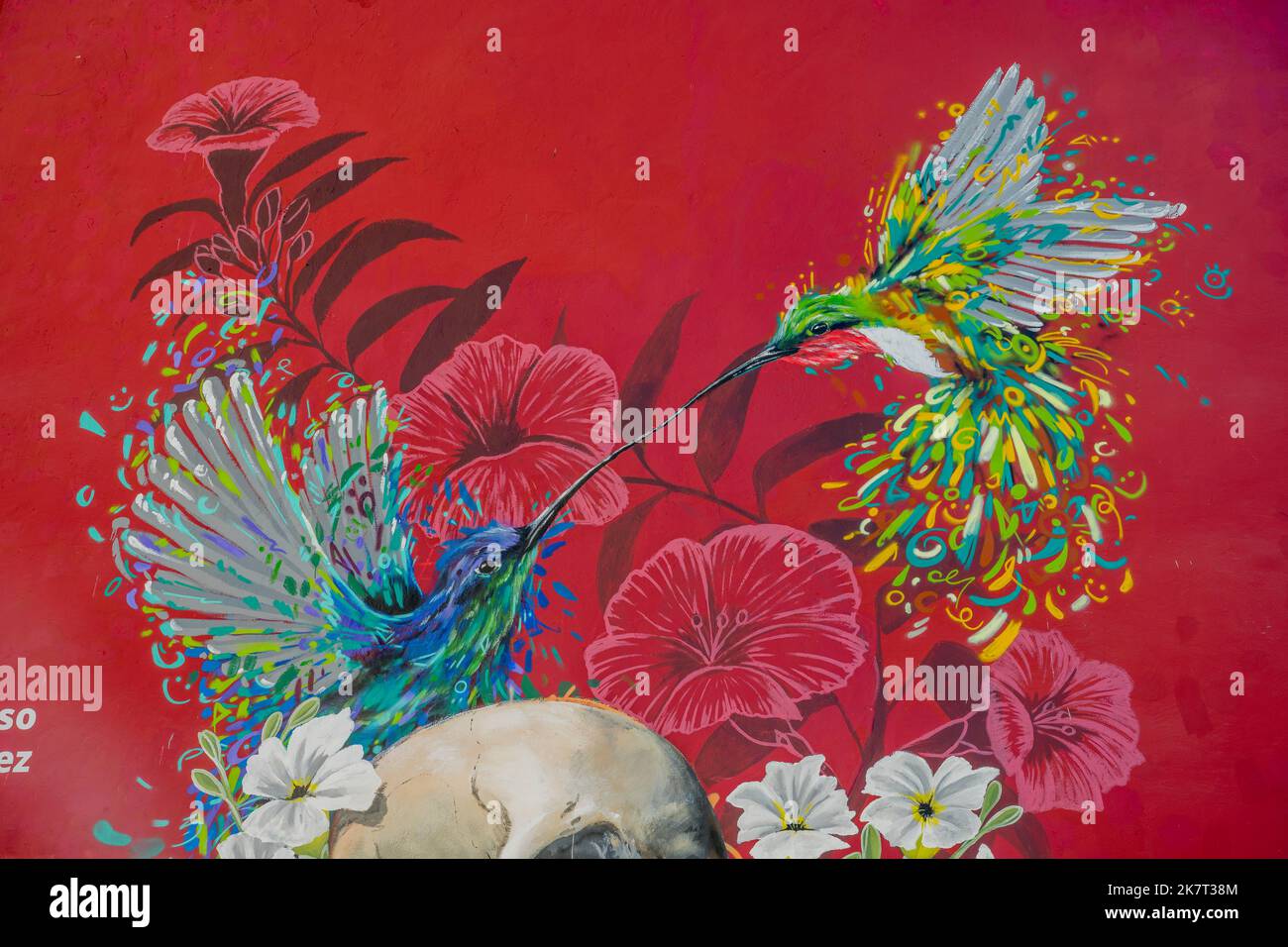 Une murale aux fleurs, un crâne et des colibris sur un mur à côté de l'église Sangre de Cristo dans la ville d'Oaxaca de Juarez, Oaxaca, Mexique. Banque D'Images