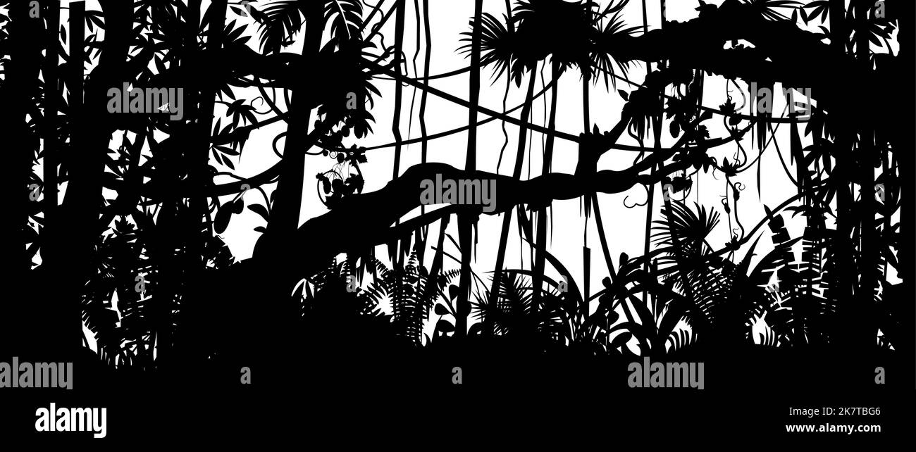 Bol impénétrable. Jungle forêt tropicale. Silhouette de paysage de la nature. Épaississement tropical dense. Isolé sur fond blanc. Vecteur Illustration de Vecteur