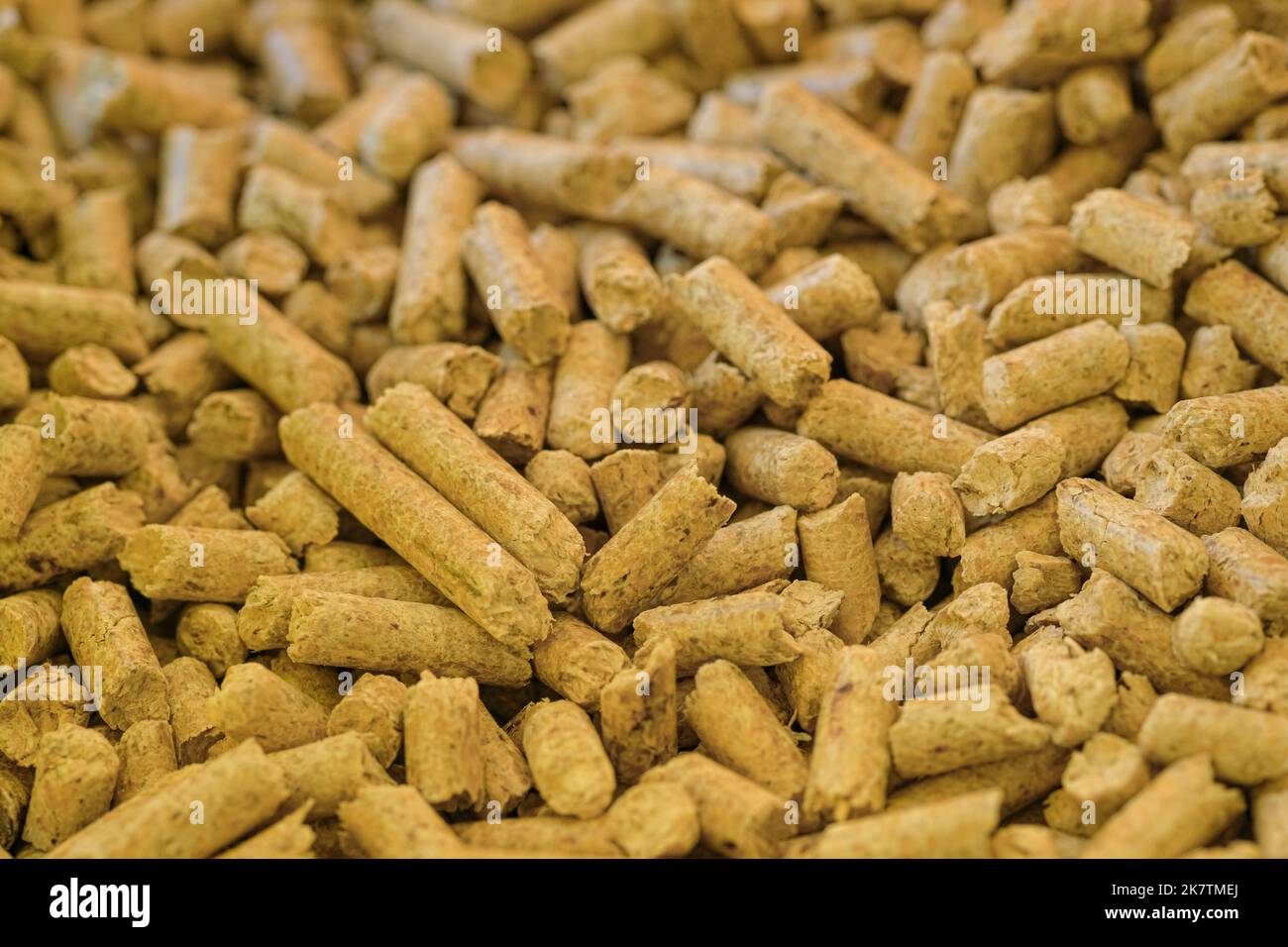 Vue rapprochée de la matière de pellets de combustible de poêle, chauffage de maison d'hiver Banque D'Images