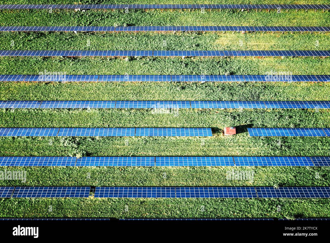 Panneau solaire de dessus. Photo de drone aérienne regardant vers le bas sur des rangées de panneaux solaires bleus dans une ferme d'énergie renouvelable Banque D'Images