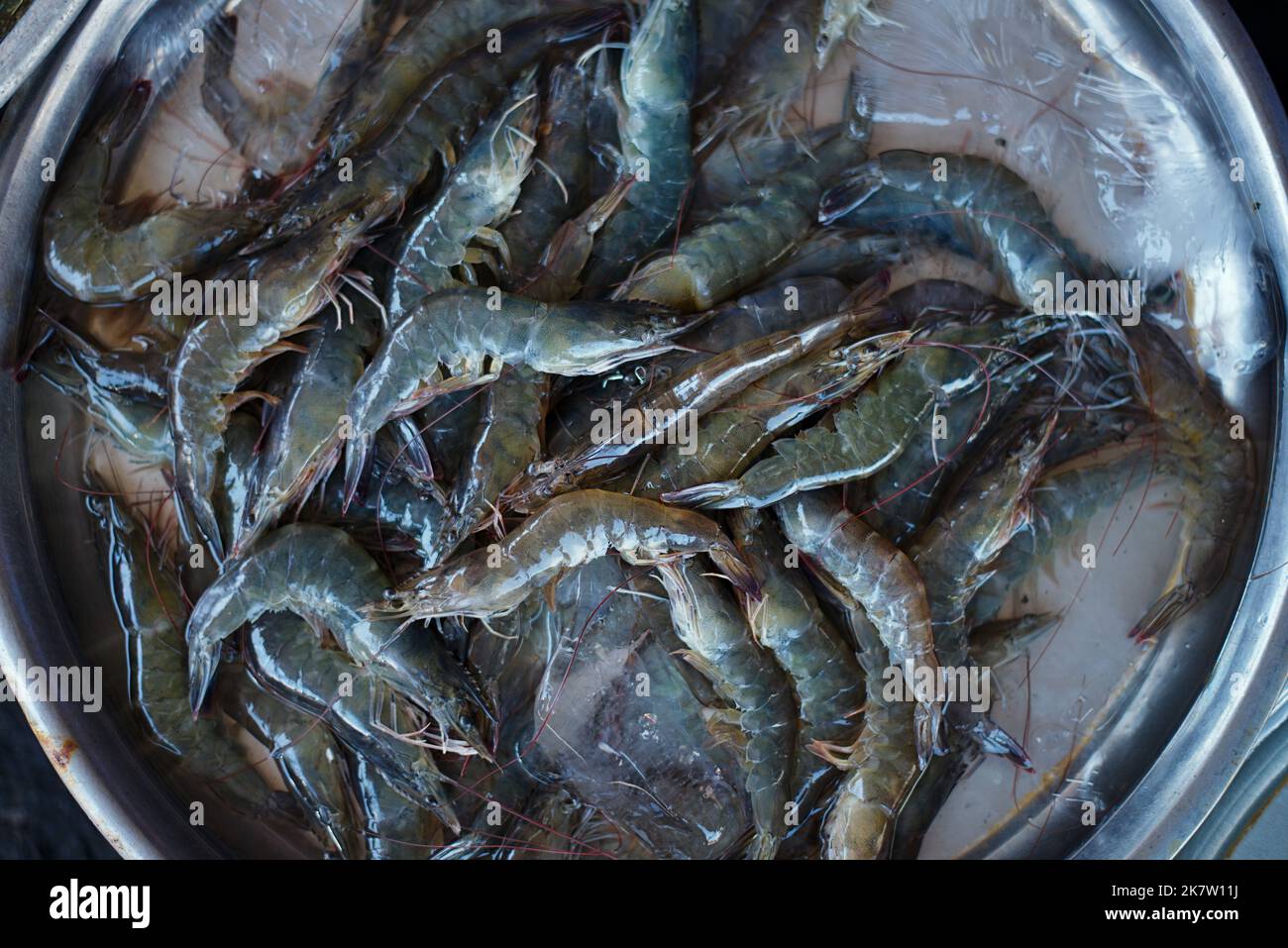Crevettes communes à la vente sur le marché frais de Nha Trang. Banque D'Images
