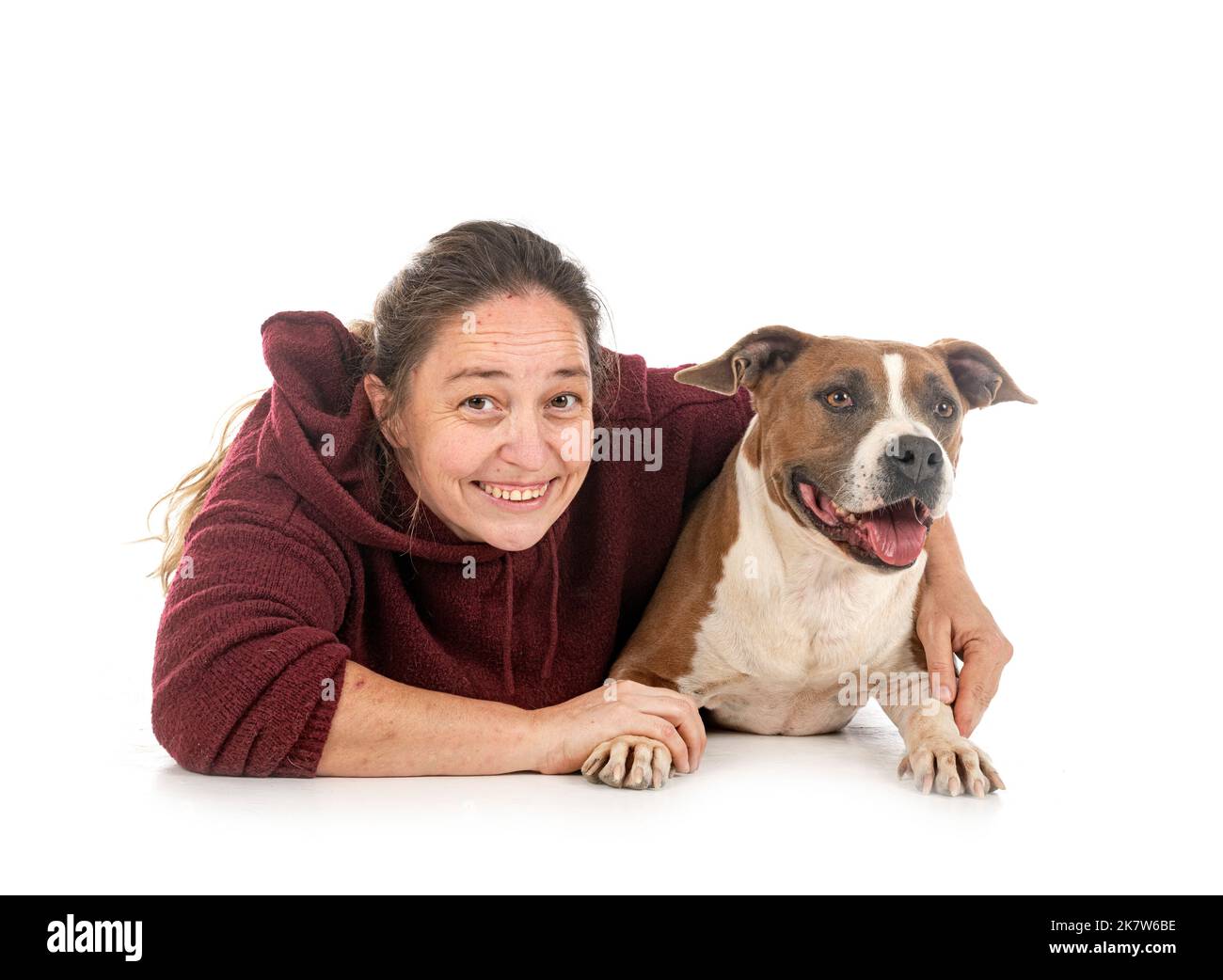american staffordshire terrier et femme devant un fond blanc Banque D'Images