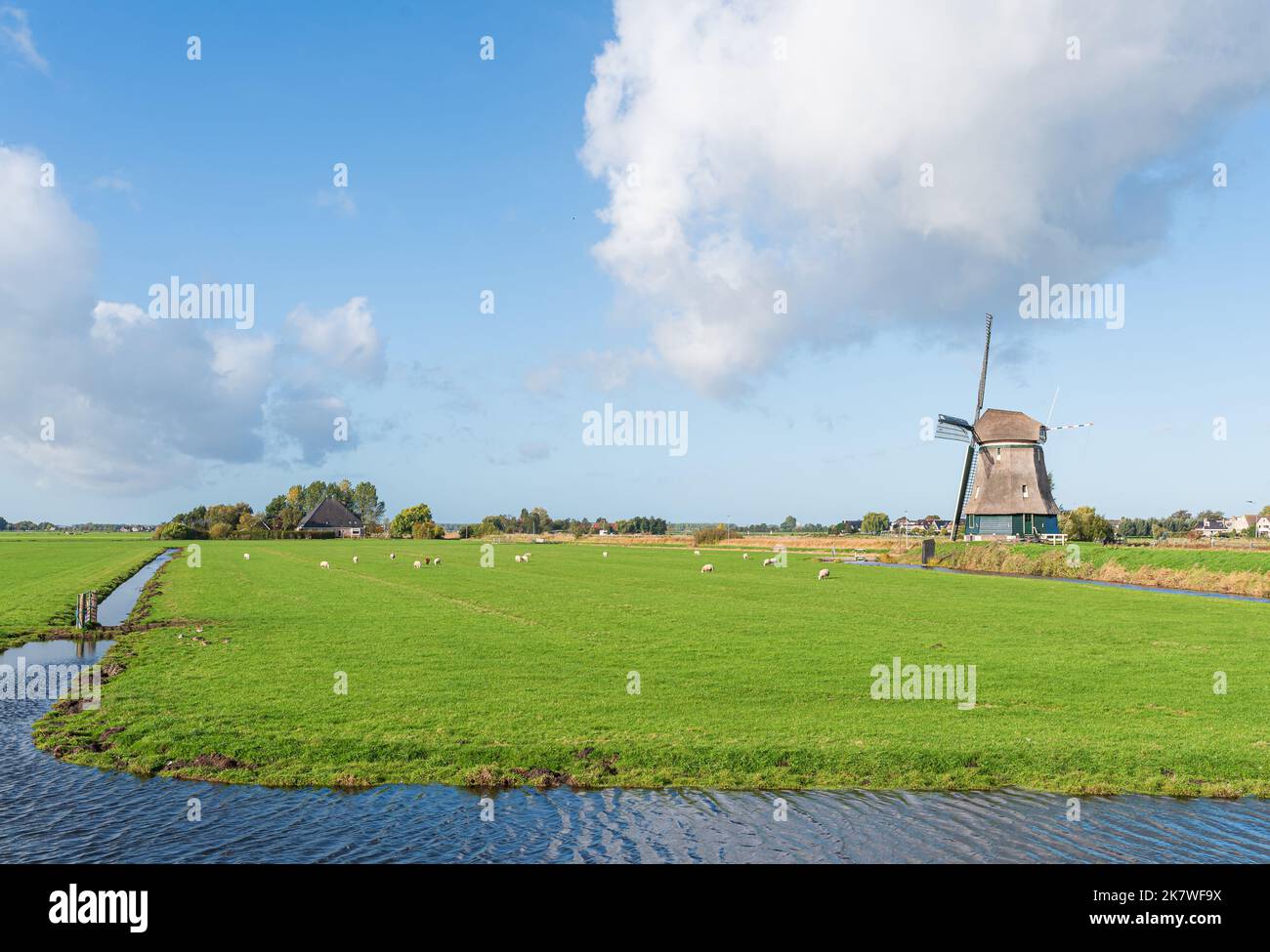 Paysage hollandais vert avec ancien moulin à vent près de la ville de Volendam, Hollande du Nord, contre le ciel bleu Banque D'Images