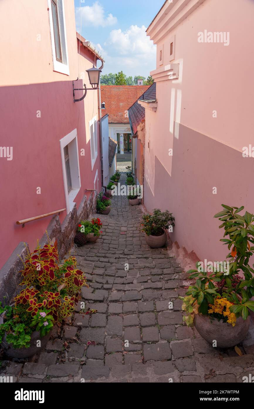 Magnifique paysage urbain coloré de Szentendre avec pots de fleurs d'automne sur un escalier étroit Banque D'Images