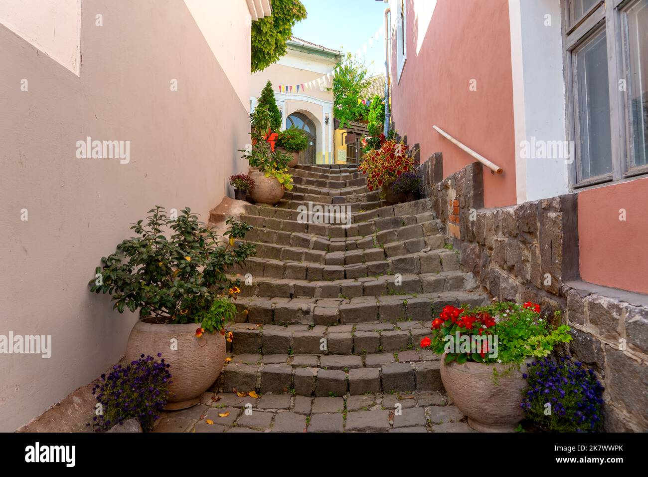 Magnifique paysage urbain coloré de Szentendre avec pots de fleurs d'automne sur un escalier étroit Banque D'Images