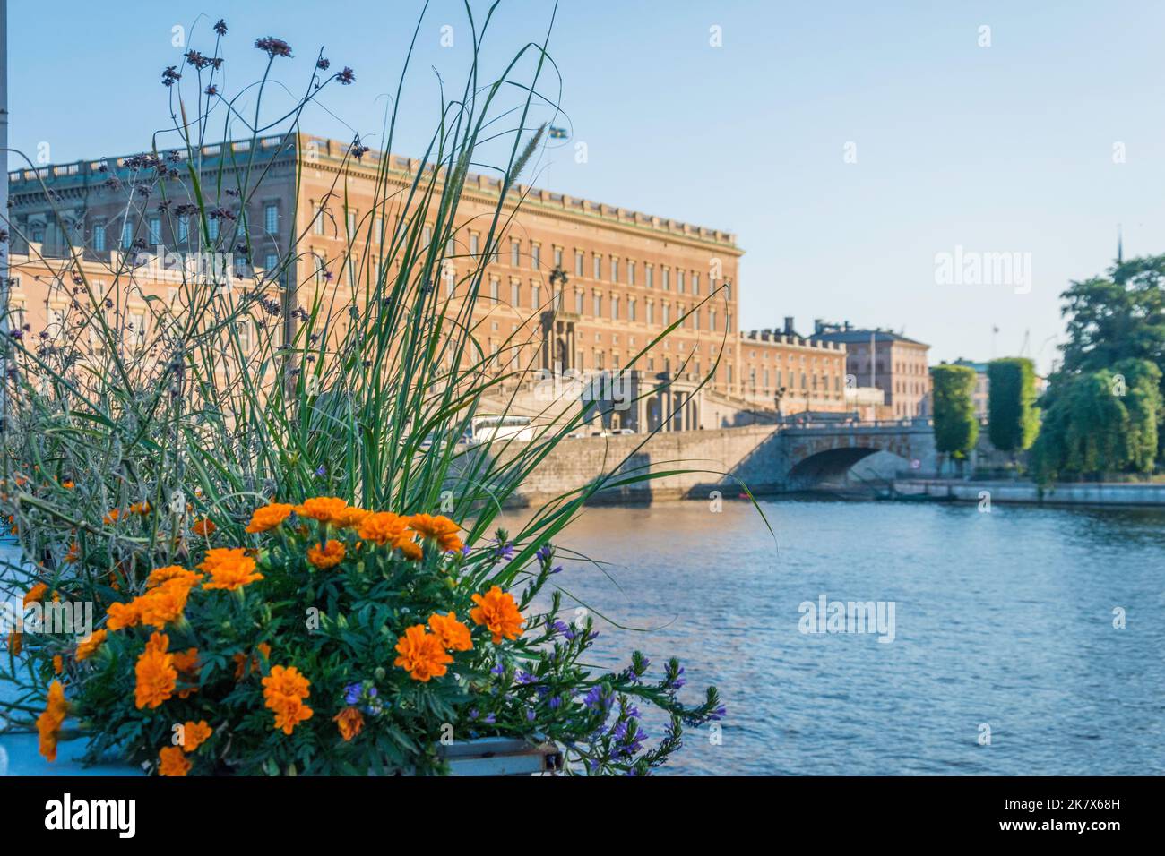 Front du Palais Royal vu derrière des fleurs d'orange à Stockholm Suède Stockholms slott Kungliga slottet Banque D'Images