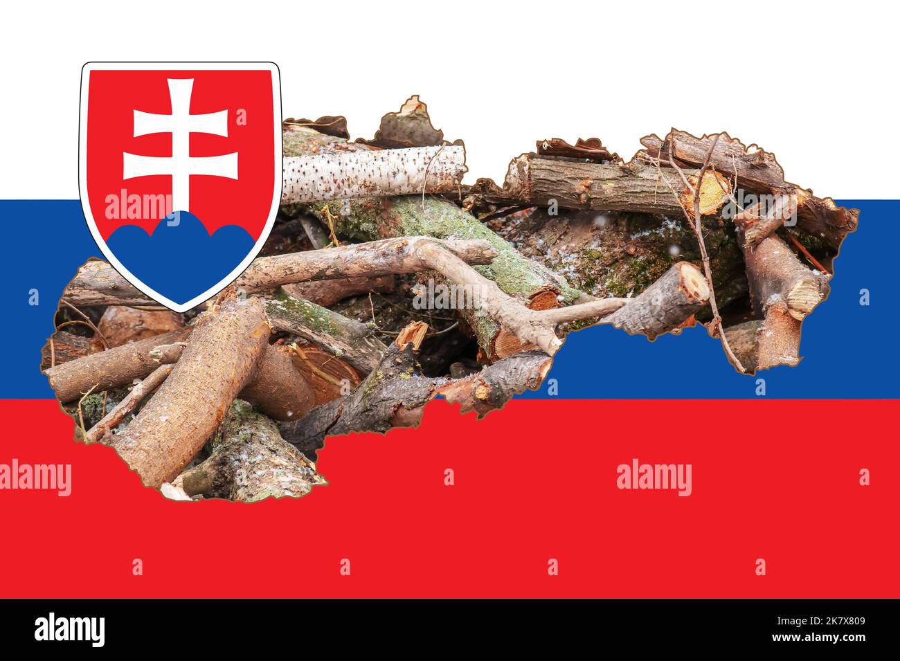 Carte de la Slovaquie avec l'image du drapeau national. Bois de