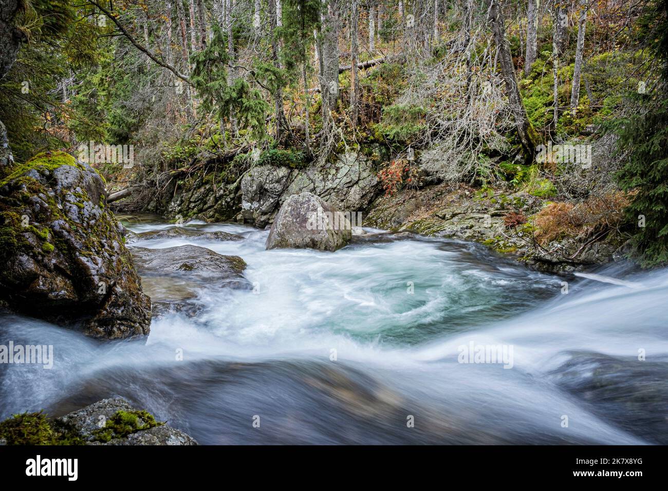 Paysage de ruisseau dans la vallée de Dill, haute montagne des Tatras, République slovaque. Thème de randonnée. Scène naturelle de saison. Banque D'Images