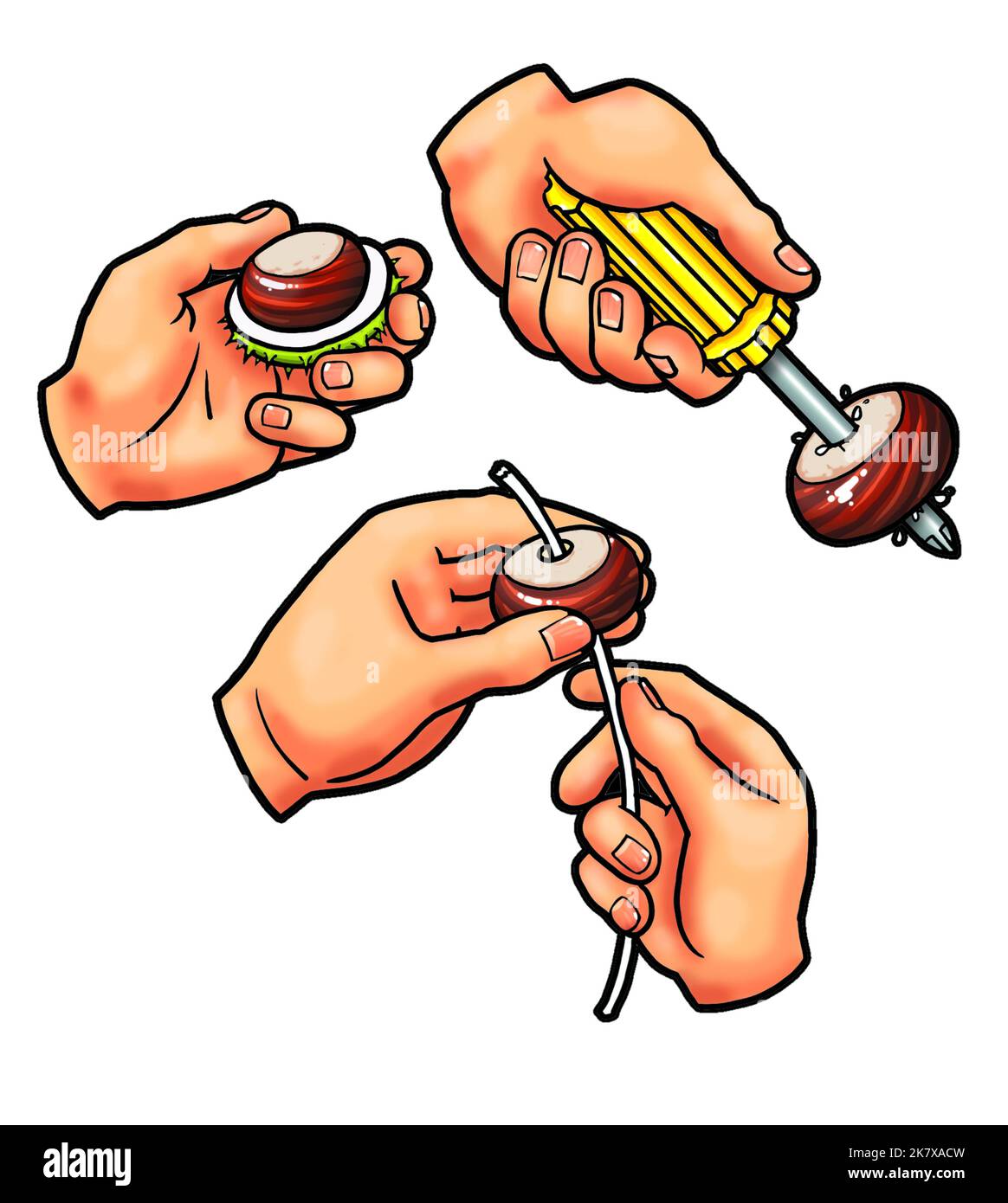 Série d'illustrations montrant comment faire le trou dans un châtaignes et fil à travers lui prêt à jouer le jeu traditionnel des enfants de conkers. Banque D'Images