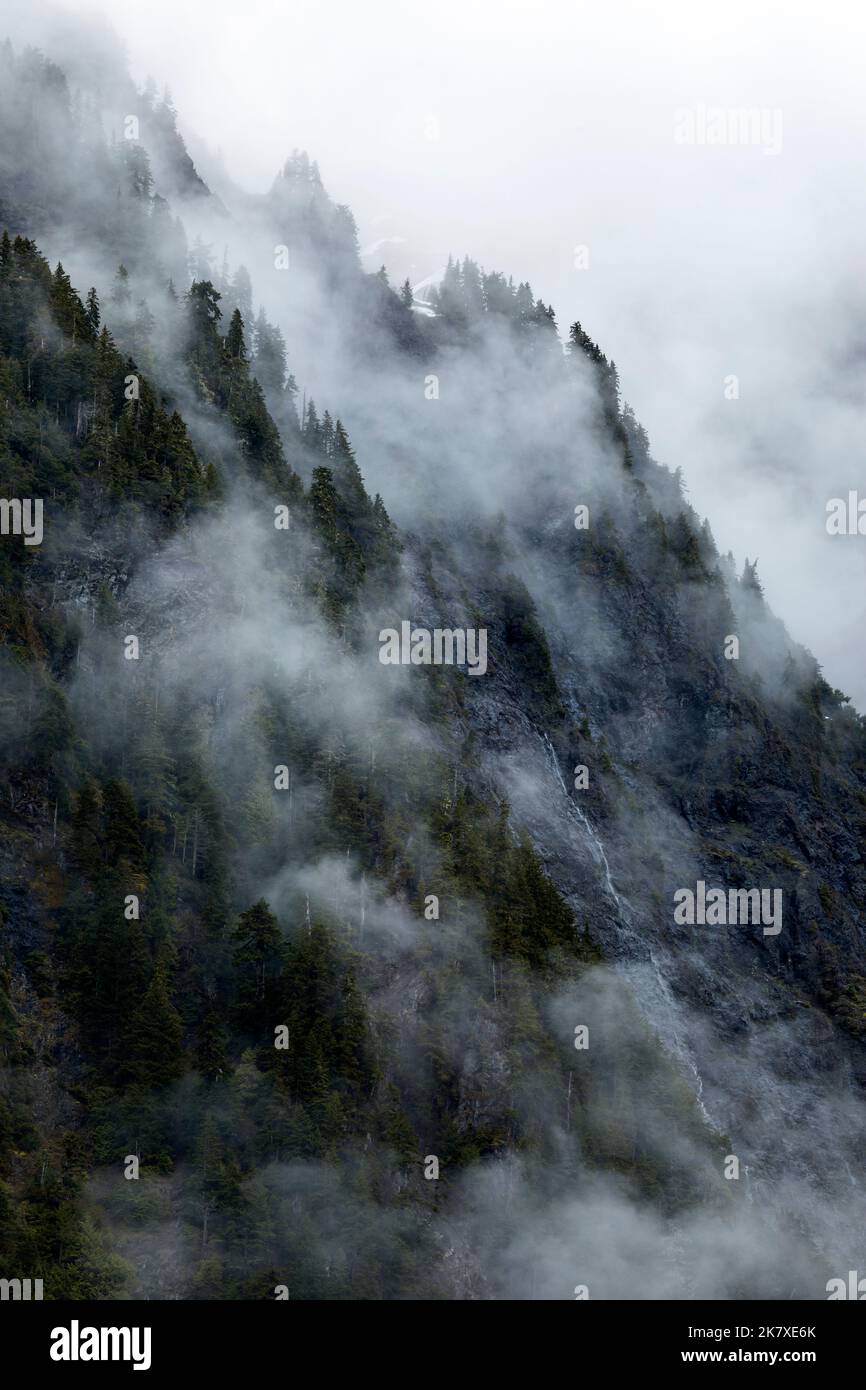 WA22388-00...WASHINGTON - nuages bas couvrant les collines abruptes au-dessus de la rivière Quinault, vue de la vallée enchantée dans le parc national olympique. Banque D'Images