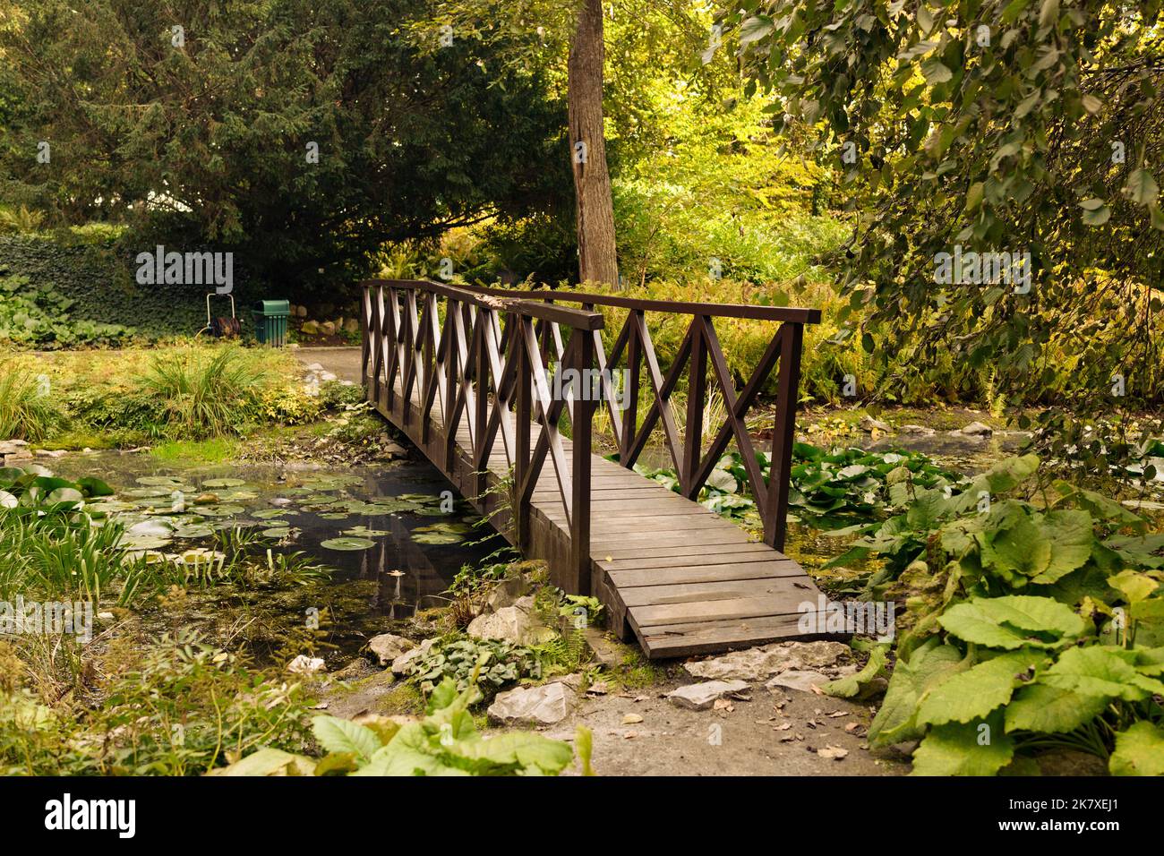 Pont en bois cintré japon forêt Banque de photographies et d’images à