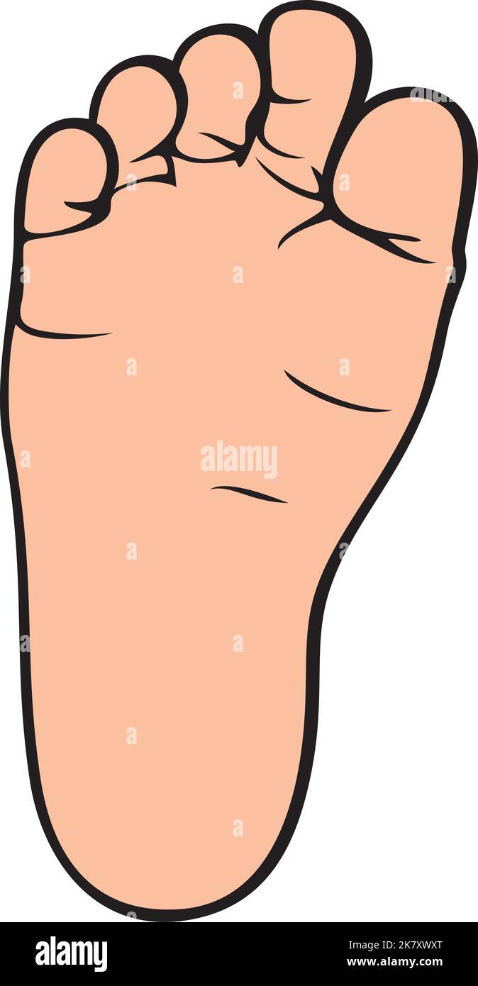 Illustration du vecteur de couleur du pied bébé Illustration de Vecteur