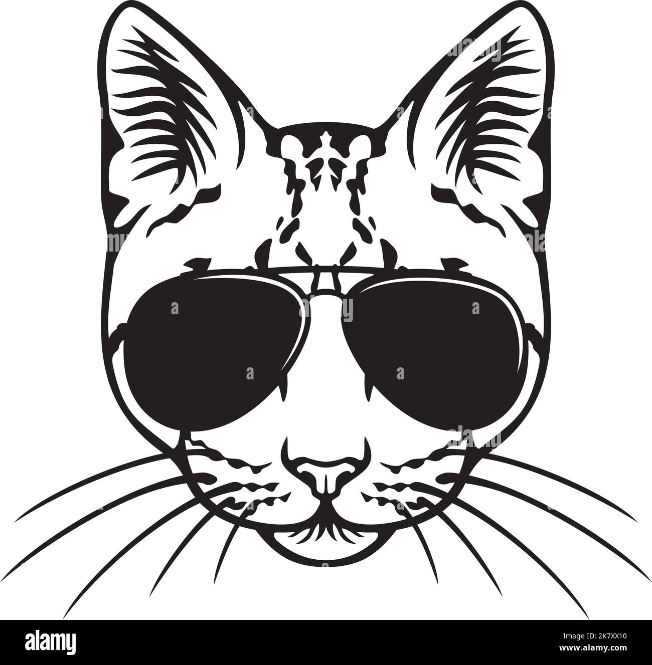 Lunettes de soleil oeil de chat Banque d'images vectorielles - Alamy