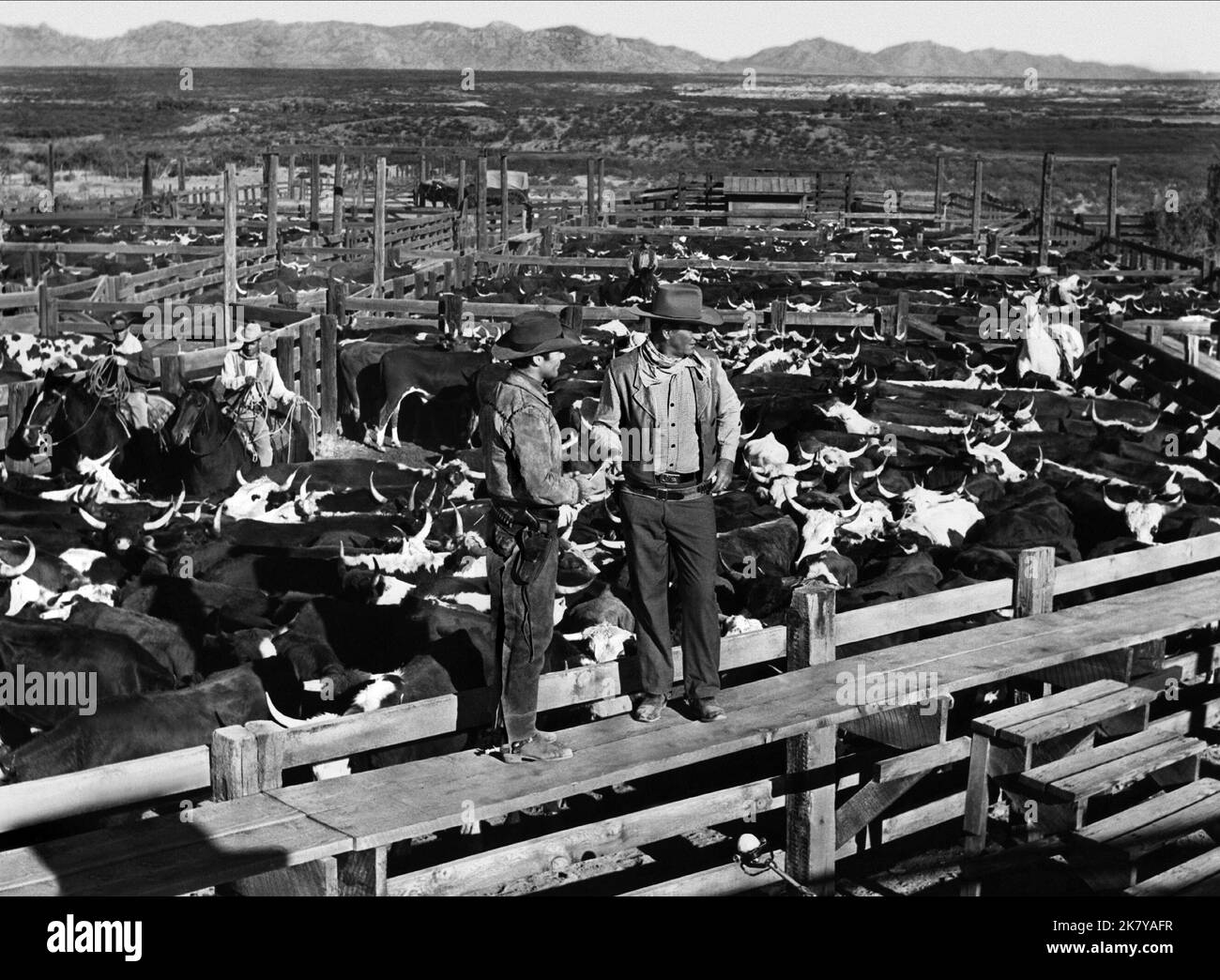 John Wayne film McLintock ! (USA 1963) réalisateur : Andrew V. Mclaglen 13 novembre 1963 **AVERTISSEMENT** cette photographie est réservée à un usage éditorial et est protégée par LES droits d'auteur de UNITED ARTISTS et/ou du photographe désigné par le film ou la société de production et ne peut être reproduite que par des publications dans le cadre de la promotion du film ci-dessus. Un crédit obligatoire pour UNITED ARTISTS est requis. Le photographe doit également être crédité lorsqu'il est connu. Aucune utilisation commerciale ne peut être accordée sans autorisation écrite de The film Company. Banque D'Images