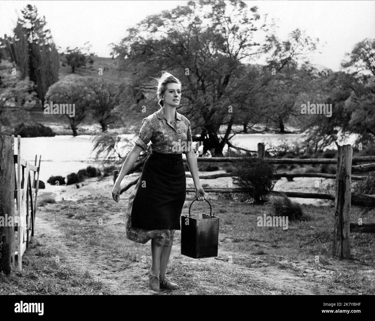 Deborah Kerr film: The Sundowers (1960) personnages: IDA Carmody Directeur: Fred Zinnemann 08 décembre 1960 **AVERTISSEMENT** cette photographie est destinée à un usage éditorial exclusif et est le copyright de WARNER BROS et/ou le photographe assigné par la Société de film ou de production et ne peut être reproduite que par des publications dans le cadre de la promotion du film ci-dessus. Un crédit obligatoire pour WARNER BROS est requis. Le photographe doit également être crédité lorsqu'il est connu. Aucune utilisation commerciale ne peut être accordée sans l'autorisation écrite de la Société du film. Banque D'Images