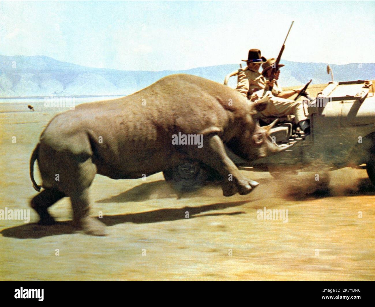 Rhino charge film Hatari! (1962) réalisateur : Howard Hawks 19 juin 1962 **AVERTISSEMENT** cette photographie est réservée à un usage éditorial et est protégée par les droits d'auteur de MALABAR et/ou du photographe désigné par le film ou la société de production. Elle ne peut être reproduite que par des publications dans le cadre de la promotion du film ci-dessus. Un crédit obligatoire à MALABAR est requis. Le photographe doit également être crédité lorsqu'il est connu. Aucune utilisation commerciale ne peut être accordée sans autorisation écrite de The film Company. Banque D'Images