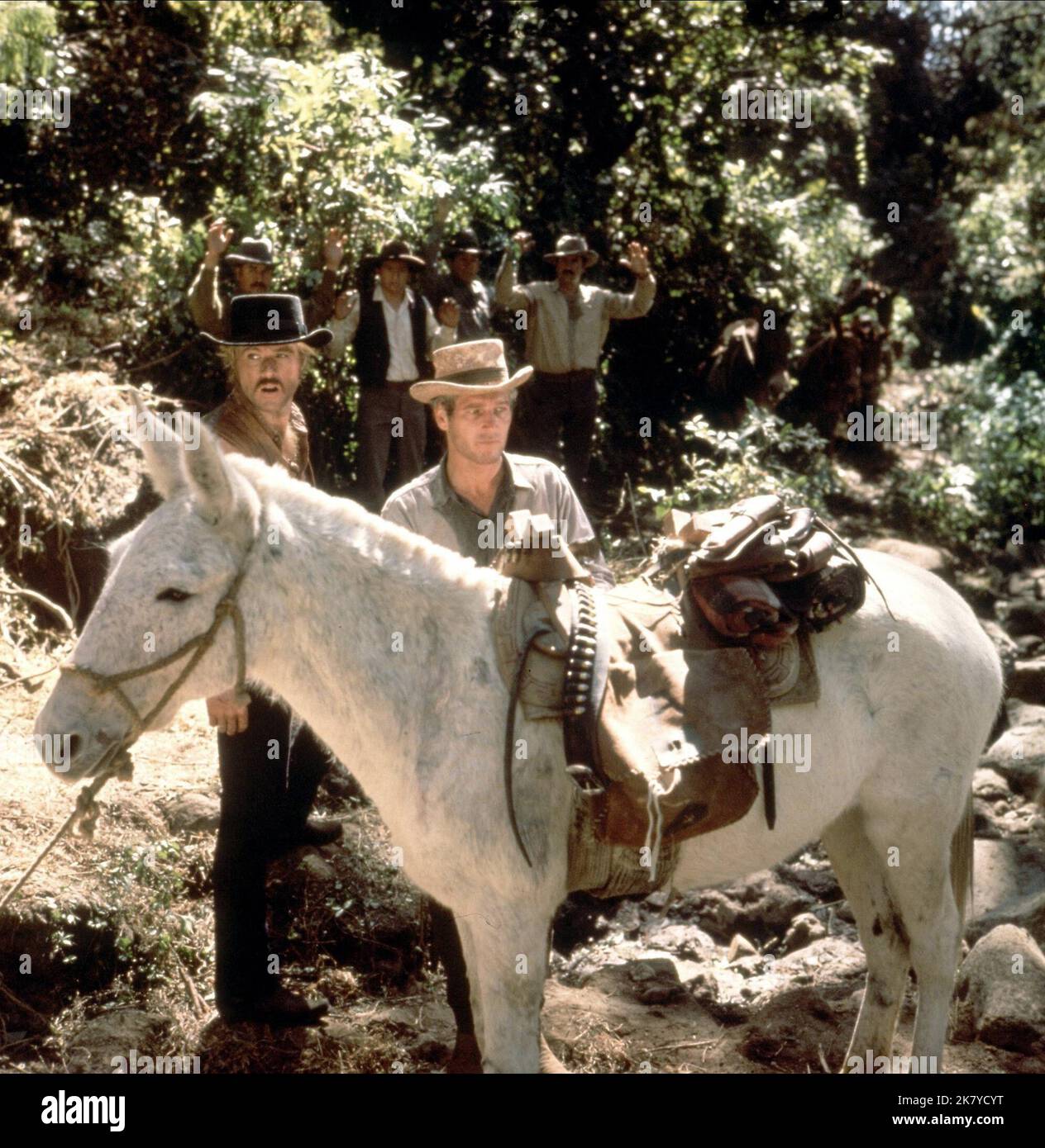 Robert Redford & Paul Newman film: Butch Cassidy and the Sundance Kid (USA 1969) personnages: The Sundance Kid, Butch Cassidy / Titel Auch: 'Butch Cassglacée und Sundance Kid' Directeur: George Roy Hill 23 septembre 1969 **AVERTISSEMENT** cette photographie est à usage éditorial exclusif et est le droit d'auteur de 20th CENTURY FOX et/ou le photographe assigné par la Société de film ou de production et ne peut être reproduite que par des publications en conjonction avec la promotion du film ci-dessus. Un crédit obligatoire à 20th CENTURY FOX est requis. Le photographe doit également être crédité lorsqu'il est connu. Aucune utilisation commerciale Banque D'Images