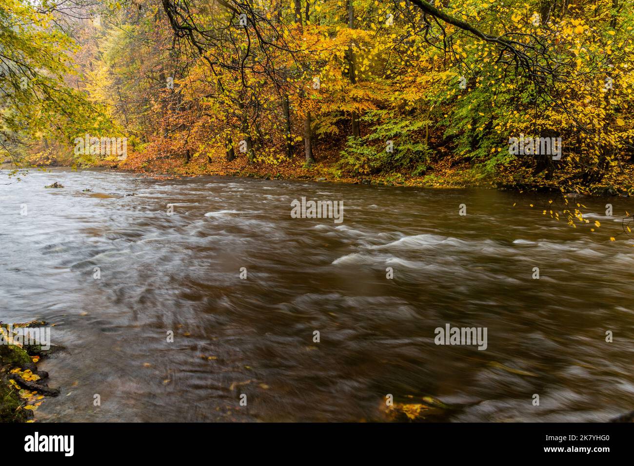 Vue sur la rivière Divoka Orlice près de Potstejn, République tchèque Banque D'Images