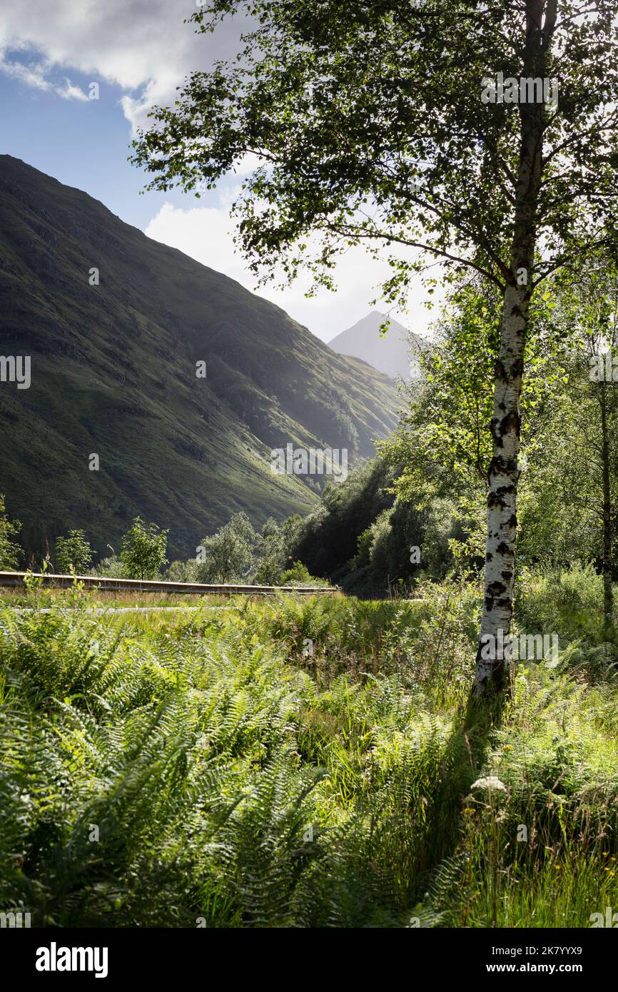 A87 route au pont EAS-Nan-Arm dans les Highlands écossais Banque D'Images
