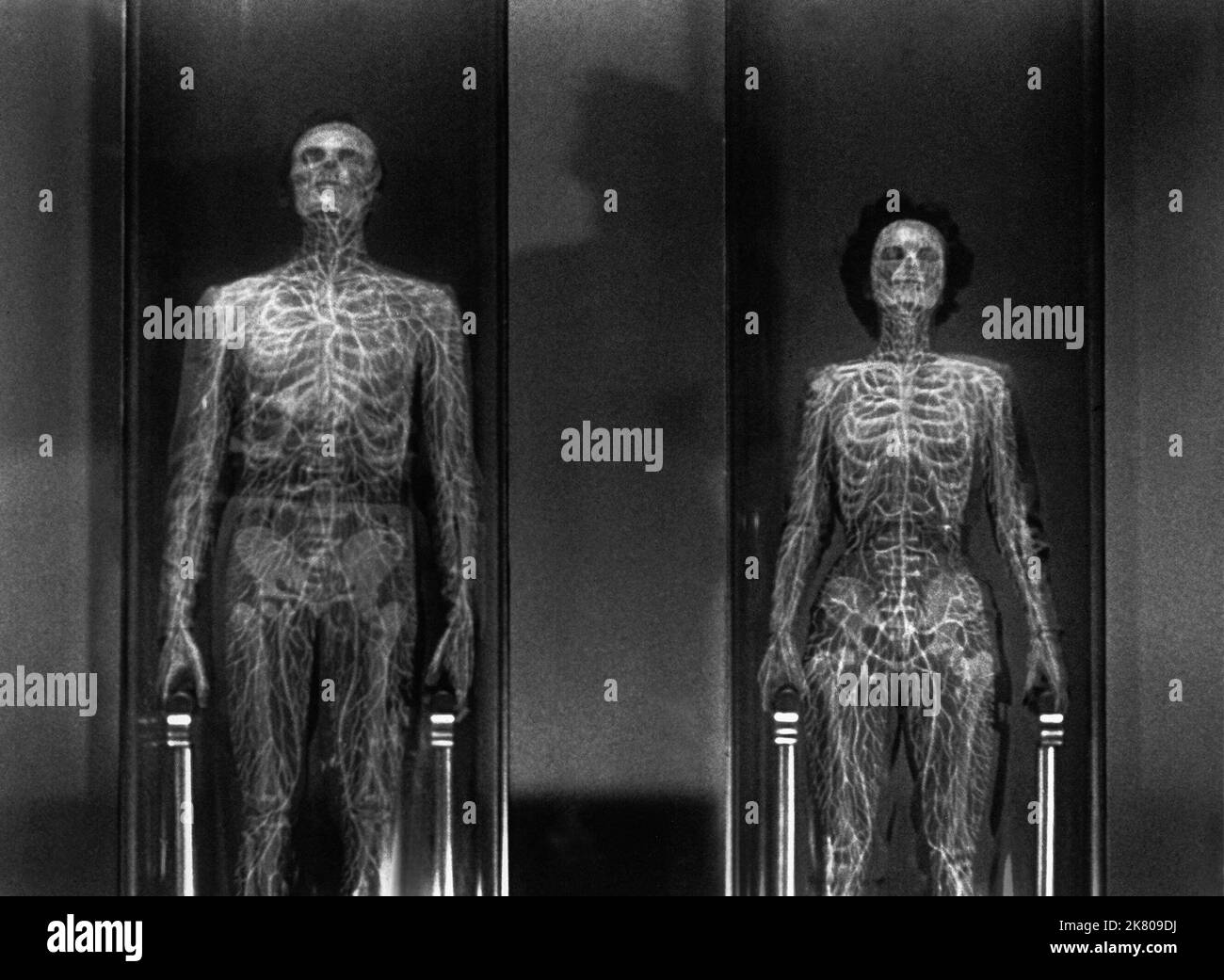 Effets spéciaux scène film This Island Earth (1956) 01 juin 1955 **AVERTISSEMENT** cette photographie est à usage éditorial exclusif et est la propriété de UI et/ou du photographe désigné par le film ou la société de production et ne peut être reproduite que par des publications dans le cadre de la promotion du film ci-dessus. Un crédit obligatoire à l'interface utilisateur est requis. Le photographe doit également être crédité lorsqu'il est connu. Aucune utilisation commerciale ne peut être accordée sans autorisation écrite de The film Company. Banque D'Images