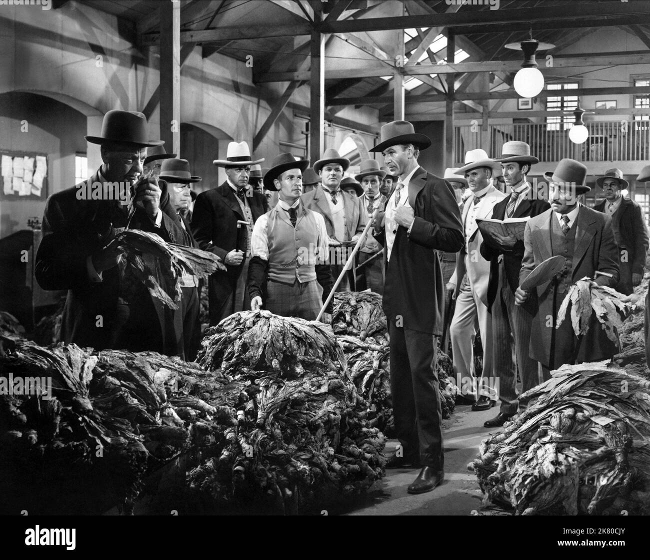 Gary Cooper film Bright Leaf (USA 1950) personnages : Brant Royle réalisateur : Michael Curtiz 16 juin 1950 **AVERTISSEMENT** cette photographie est réservée à un usage éditorial et est la propriété de WARNER et/ou du photographe désigné par la société de production et ne peut être reproduite que par des publications en liaison avec la promotion du film ci-dessus. Un crédit obligatoire à WARNER est requis. Le photographe doit également être crédité lorsqu'il est connu. Aucune utilisation commerciale ne peut être accordée sans autorisation écrite de The film Company. Banque D'Images