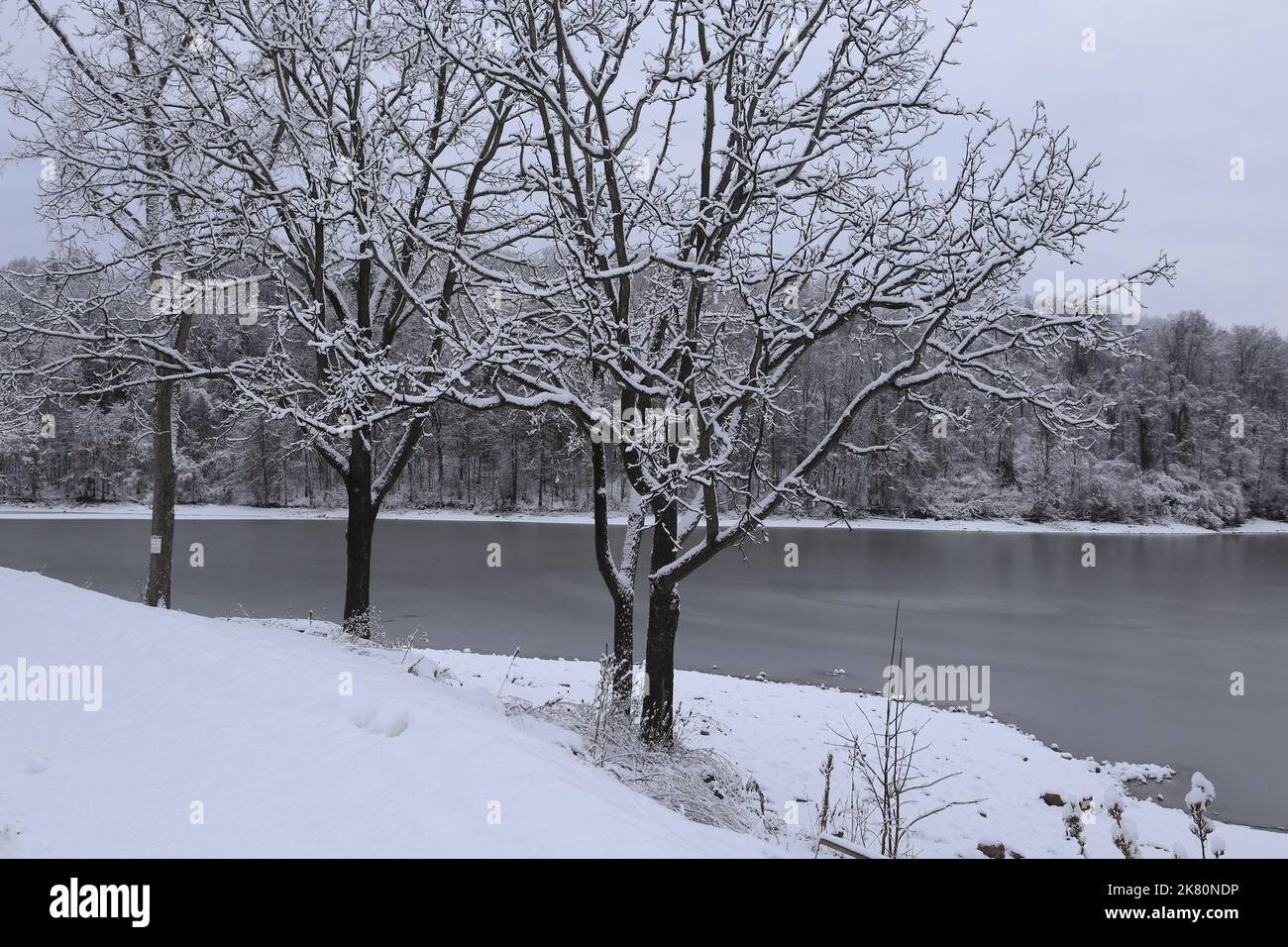 neige fraîche paysage couvert d'arbres près du lac Banque D'Images