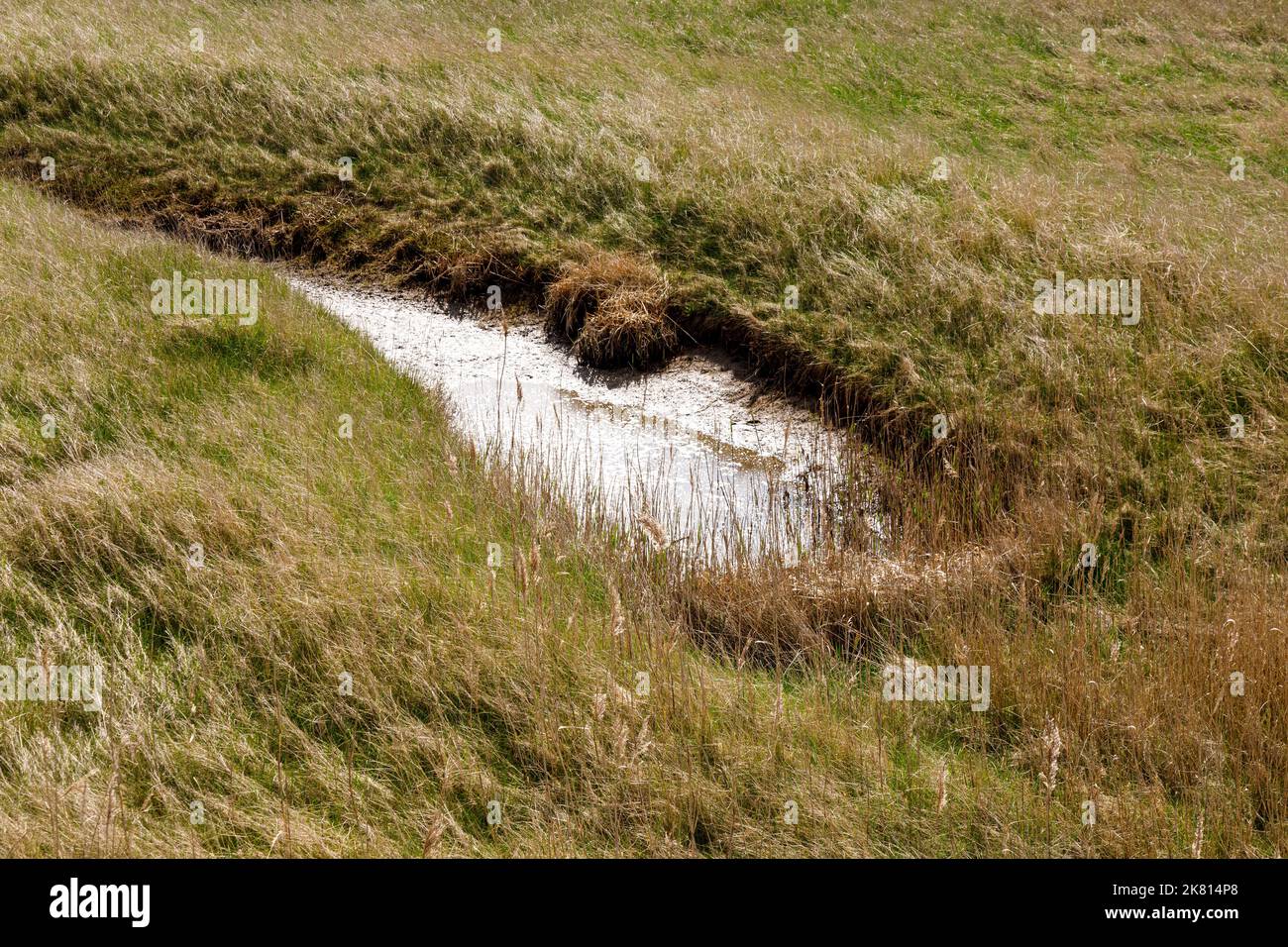 Bassin de marée dans les marais salants entre les bancs de sable et les dunes en face du Sankt Peter-Ording Banque D'Images