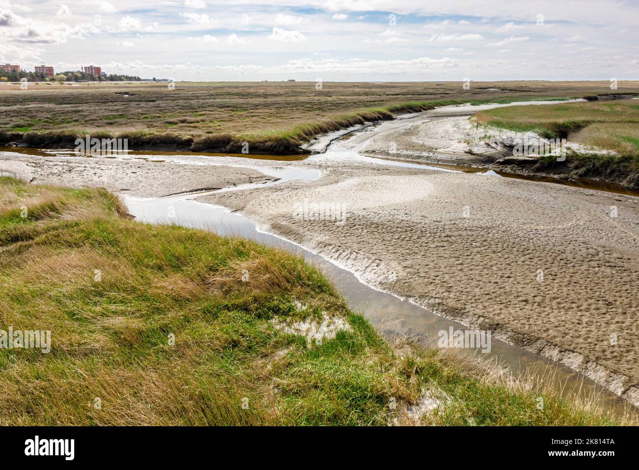 Bassin de marée dans les marais salants entre les bancs de sable et les dunes en face du Sankt Peter-Ording Banque D'Images