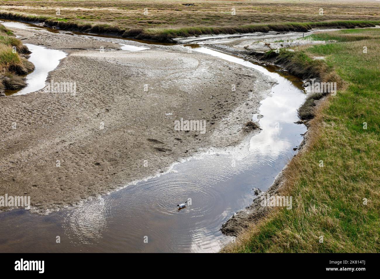 Bassin de marée dans les marais salants entre les bancs de sable et les dunes en face du Sankt Peter-Ording Banque D'Images