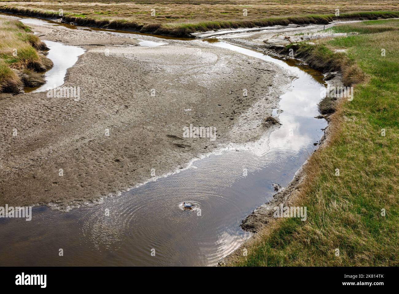 Bassin de marée dans les marais salants entre les bancs de sable et les dunes en face du Sankt Peter-Ording Banque D'Images