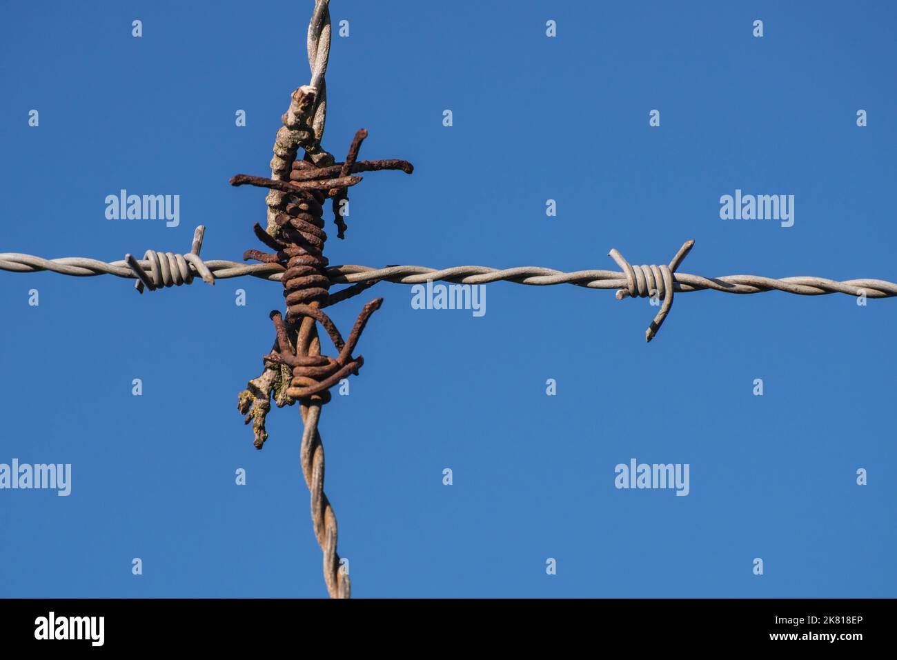 Fil barbelé interconnecté formant une croix contre un ciel bleu Banque D'Images
