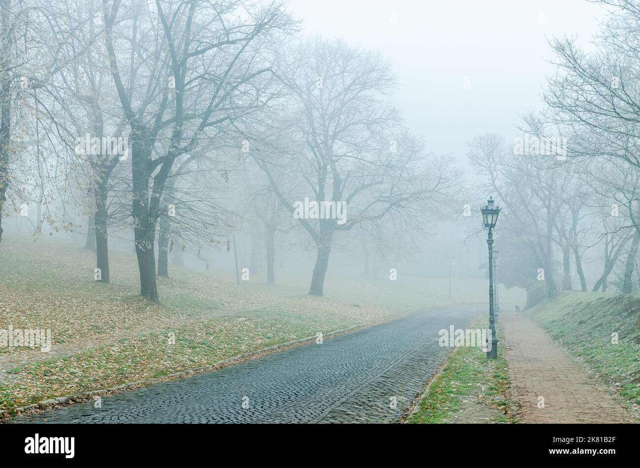 Forteresse de Petrovaradin en hiver, paysage brumeux. Vue panoramique sur la forteresse de Petrovaradin pendant la période brumeuse de la journée en hiver. Banque D'Images