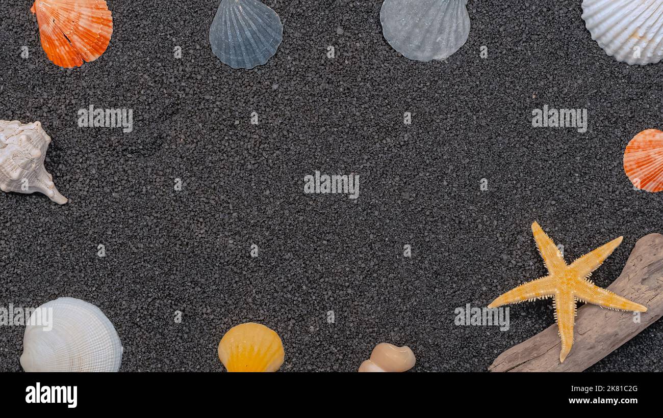 Coques sur fond fin sablonneux avec espace libre. Banque D'Images