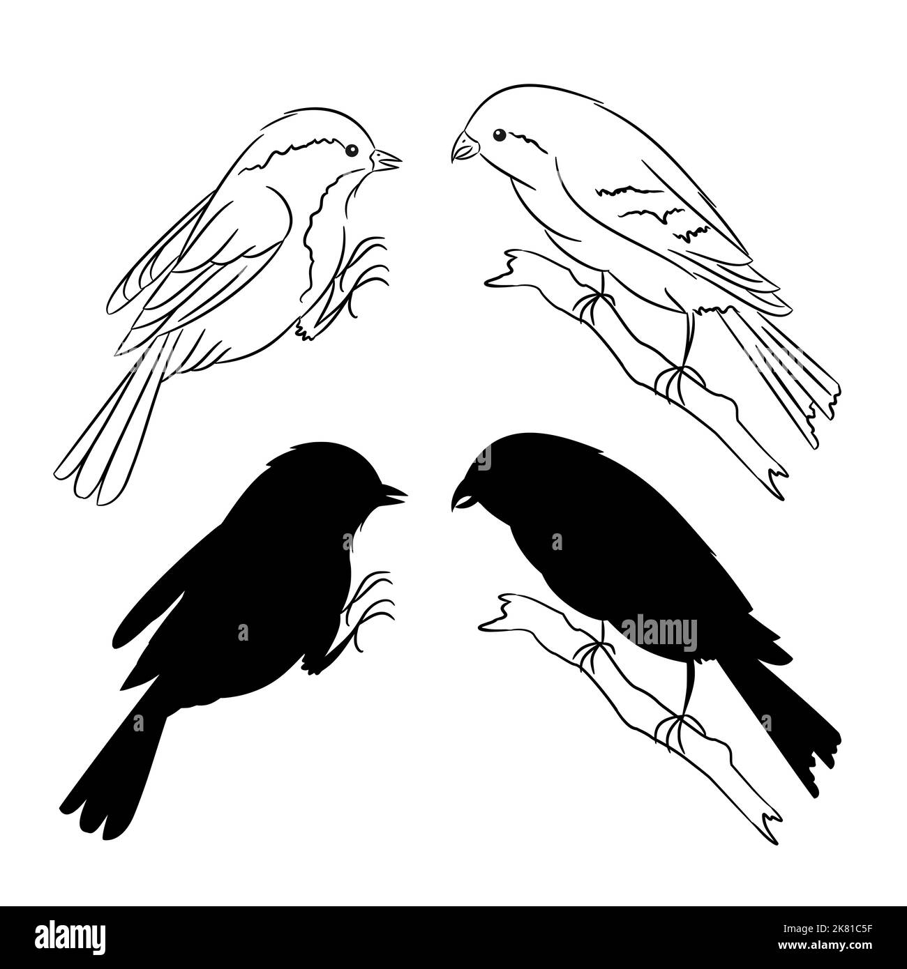Le contour et de la silhouette des oiseaux ensemble de trois illustrations vectorielles Illustration de Vecteur
