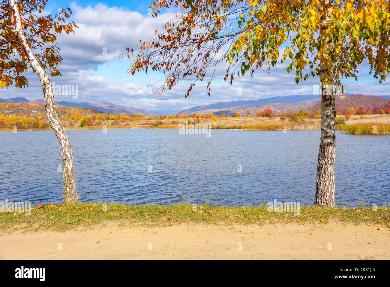paysage d'automne avec des arbres sur la rive d'un étang. village et chaîne de montagnes au loin par un jour ensoleillé. transcarpathia, ukraine Banque D'Images