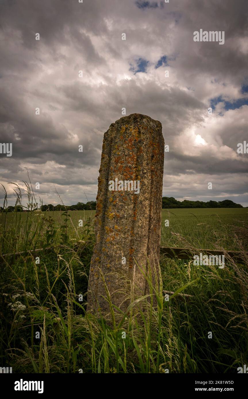 The Stump Cross, une « pierre funéraire » à la périphérie de Beverley, pour les fugitifs cherchant un sanctuaire à Beverley Minster, East Yorkshire, Royaume-Uni Banque D'Images