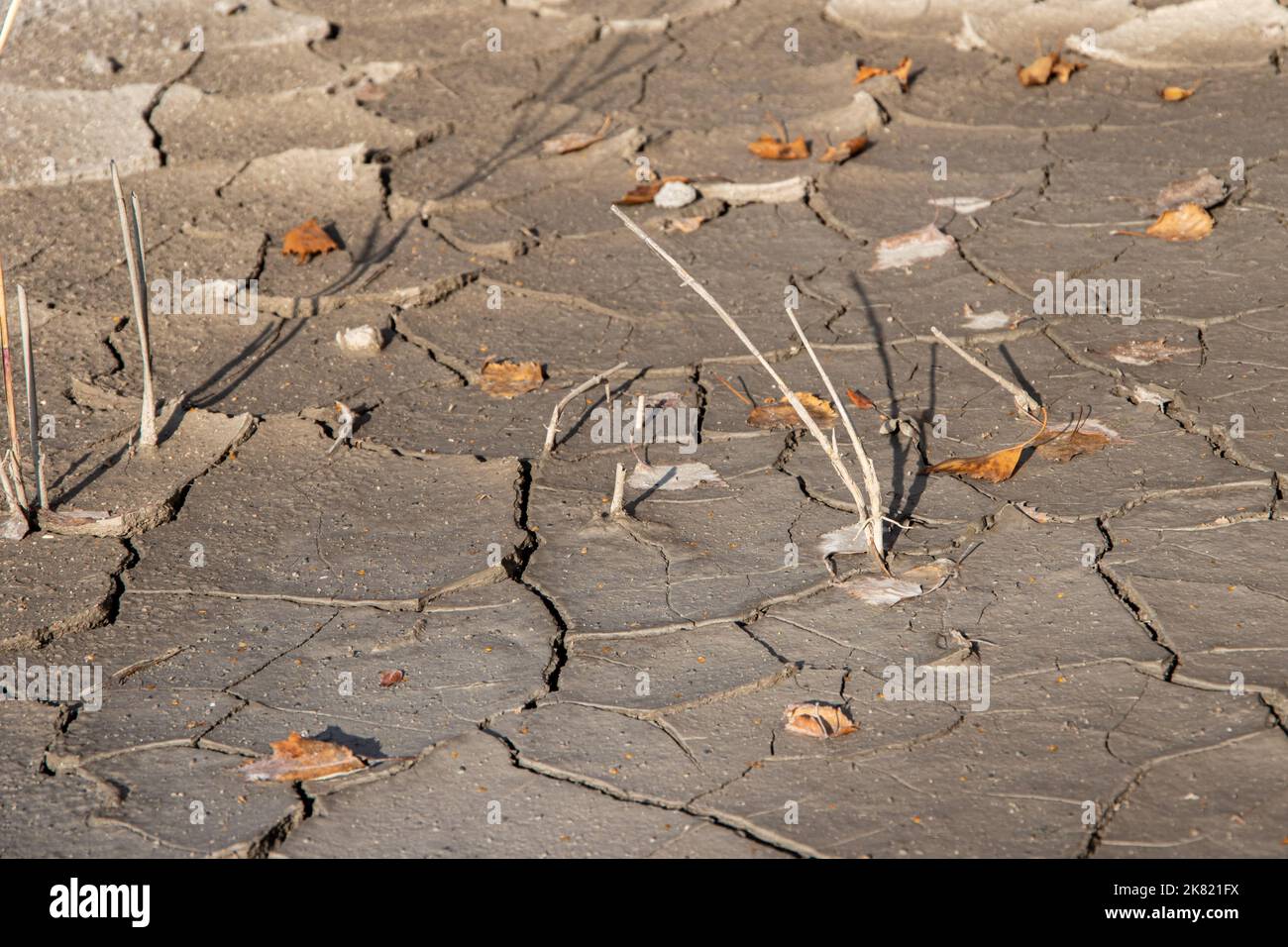 Sol sec et herbe jaune dans les fissures, fond naturel, climat chaud. Sécheresse terre sans texture d'eau. Le concept du réchauffement climatique, le cataclysme Banque D'Images