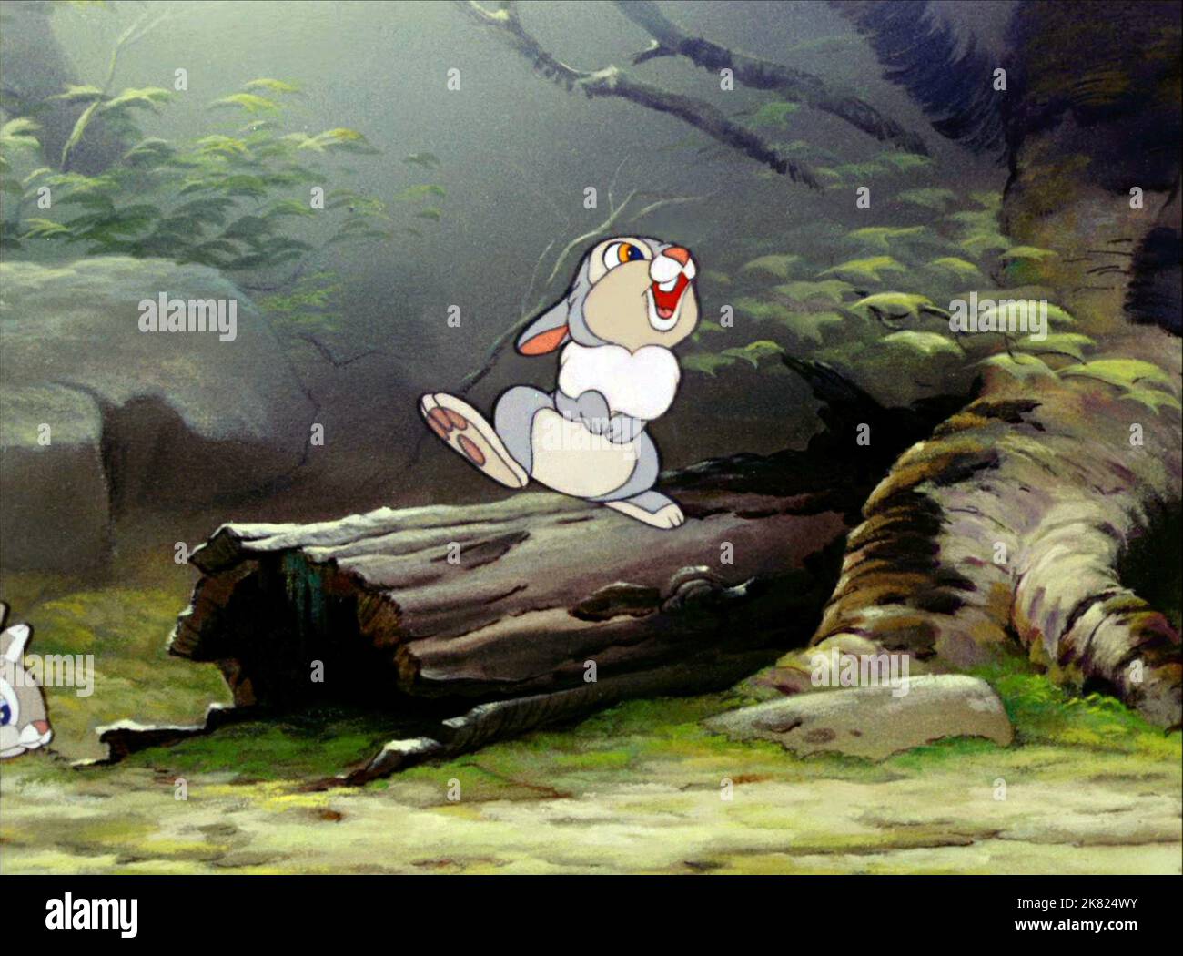 Thumper film Bambi (USA 1942) réalisateur : David Hand 08 août 1942 **AVERTISSEMENT** cette photographie est réservée à un usage éditorial et est protégée par les droits d'auteur de DISNEY et/ou du photographe désigné par le film ou la société de production et ne peut être reproduite que par des publications dans le cadre de la promotion du film ci-dessus. Un crédit DISNEY obligatoire est requis. Le photographe doit également être crédité lorsqu'il est connu. Aucune utilisation commerciale ne peut être accordée sans autorisation écrite de The film Company. Banque D'Images