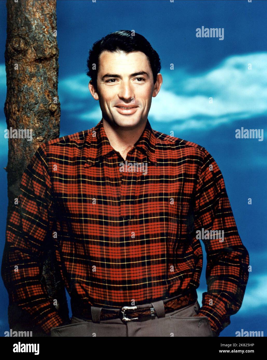 Gregory Peck film Duel in the Sun (USA 1946) personnages : Lewton 'Lewt' McCanles réalisateur : King Vidor 29 décembre 1946 **AVERTISSEMENT** cette photographie est réservée à un usage éditorial et est protégée par les droits d'auteur de SELZNICK INTERNATIONAL PICTURES et/ou du photographe désigné par The film or production Company et ne peut être reproduite que par des publications dans le cadre de la promotion du film ci-dessus. Un crédit obligatoire pour SELZNICK INTERNATIONAL PICTURES est requis. Le photographe doit également être crédité lorsqu'il est connu. Aucune utilisation commerciale ne peut être accordée sans autorisation écrite de The film Company. Banque D'Images