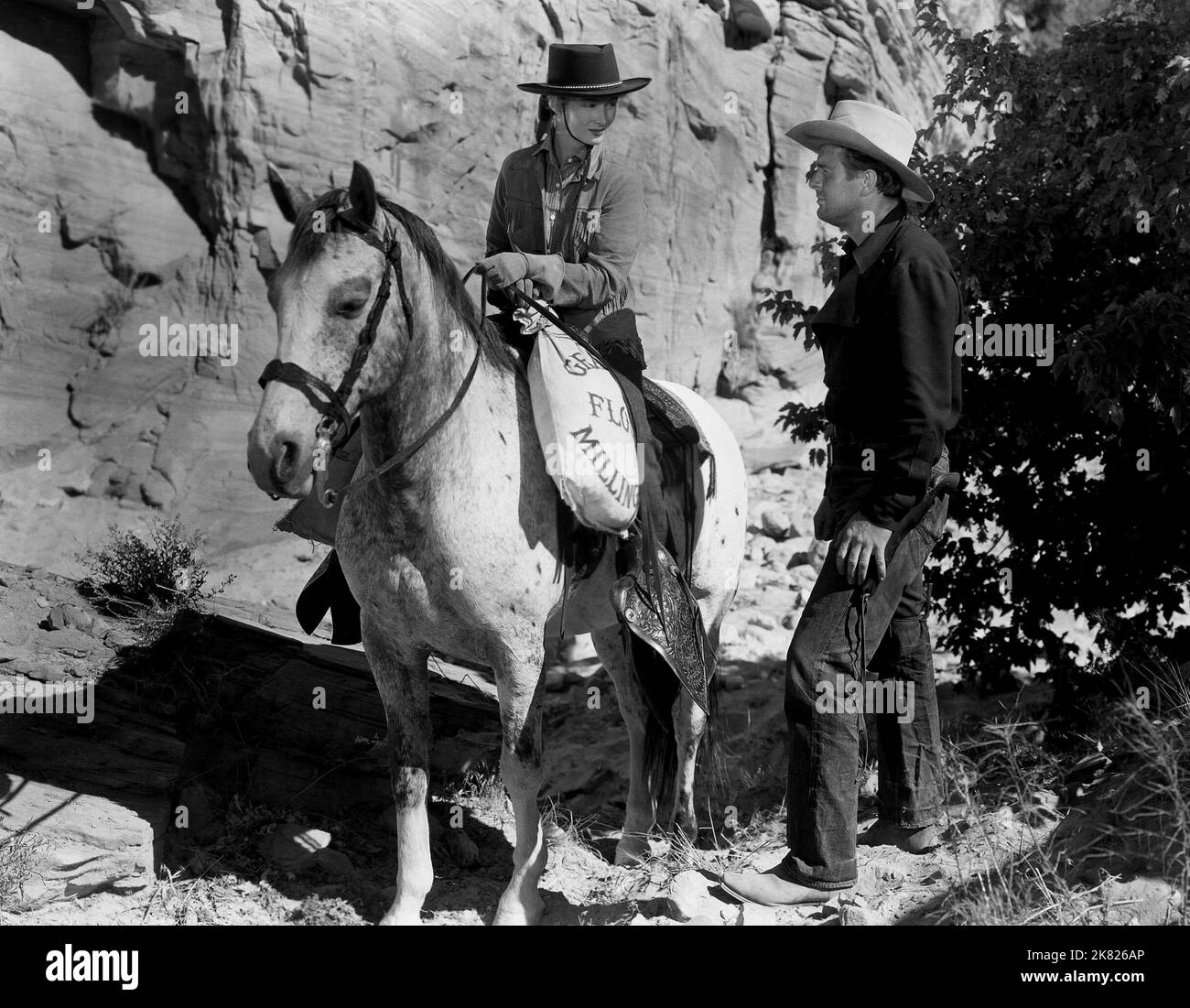 Veronica Lake & Joel McCrea film Ramrod (1948) personnages : Connie Dickason & Dave Nash réalisateur : Andre de Toth 02 mai 1947 **AVERTISSEMENT** cette photographie est à usage éditorial exclusif et est la propriété de UNITED ARTISTS et/ou du photographe assigné par la société de production et ne peut être reproduite que par des publications en liaison avec la promotion du film ci-dessus. Un crédit obligatoire pour UNITED ARTISTS est requis. Le photographe doit également être crédité lorsqu'il est connu. Aucune utilisation commerciale ne peut être accordée sans autorisation écrite de The film Company. Banque D'Images