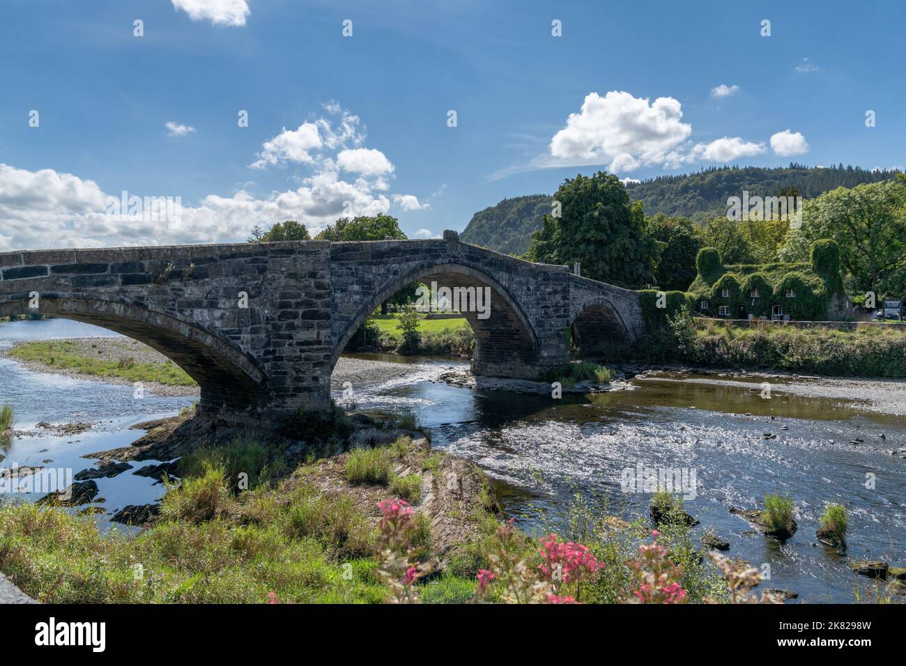 Llanrwst, Royaume-Uni - 27 août 2022 : pont historique Fawr et maison couverte de lierre sur la rivière Conwy, dans le nord du pays de Galles Banque D'Images