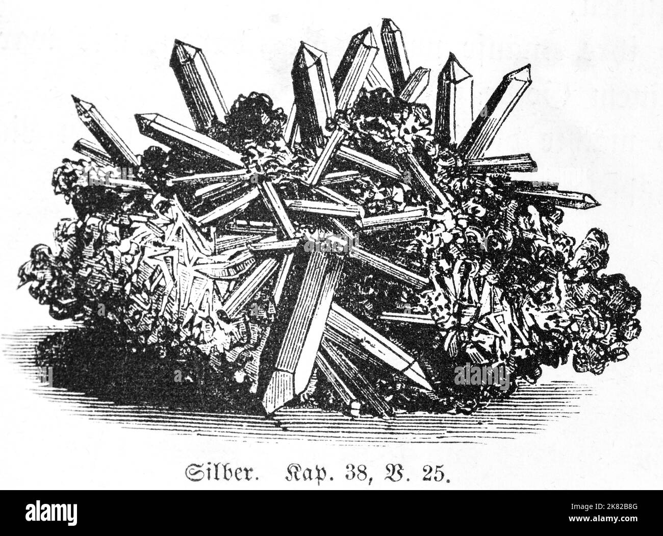 Argent, Bible, ancien Testament, deuxième Livre de Moïse, Genèse, Chapitre 38, verset 25, Illustration historique 1850 Banque D'Images