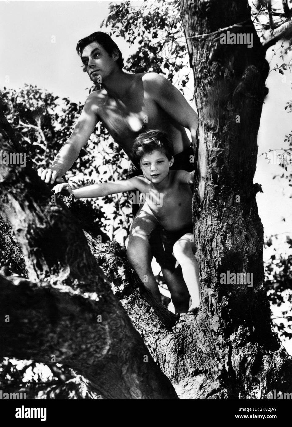 Johnny Weissmuller & Johnny Sheffield film : Tarzan Retrouves A son (USA 1939) personnages : Tarzan, Boy (comme John Sheffield) Directeur : Richard Thorpe 16 juin 1939 **AVERTISSEMENT** cette photographie est à usage éditorial exclusif et est le droit d'auteur de MGM et/ou du photographe assigné par la Société de film ou de production et ne peut être reproduite que par des publications en conjonction avec la promotion du film ci-dessus. Un crédit obligatoire pour MGM est requis. Le photographe doit également être crédité lorsqu'il est connu. Aucune utilisation commerciale ne peut être accordée sans l'autorisation écrite de la Société du film. Banque D'Images