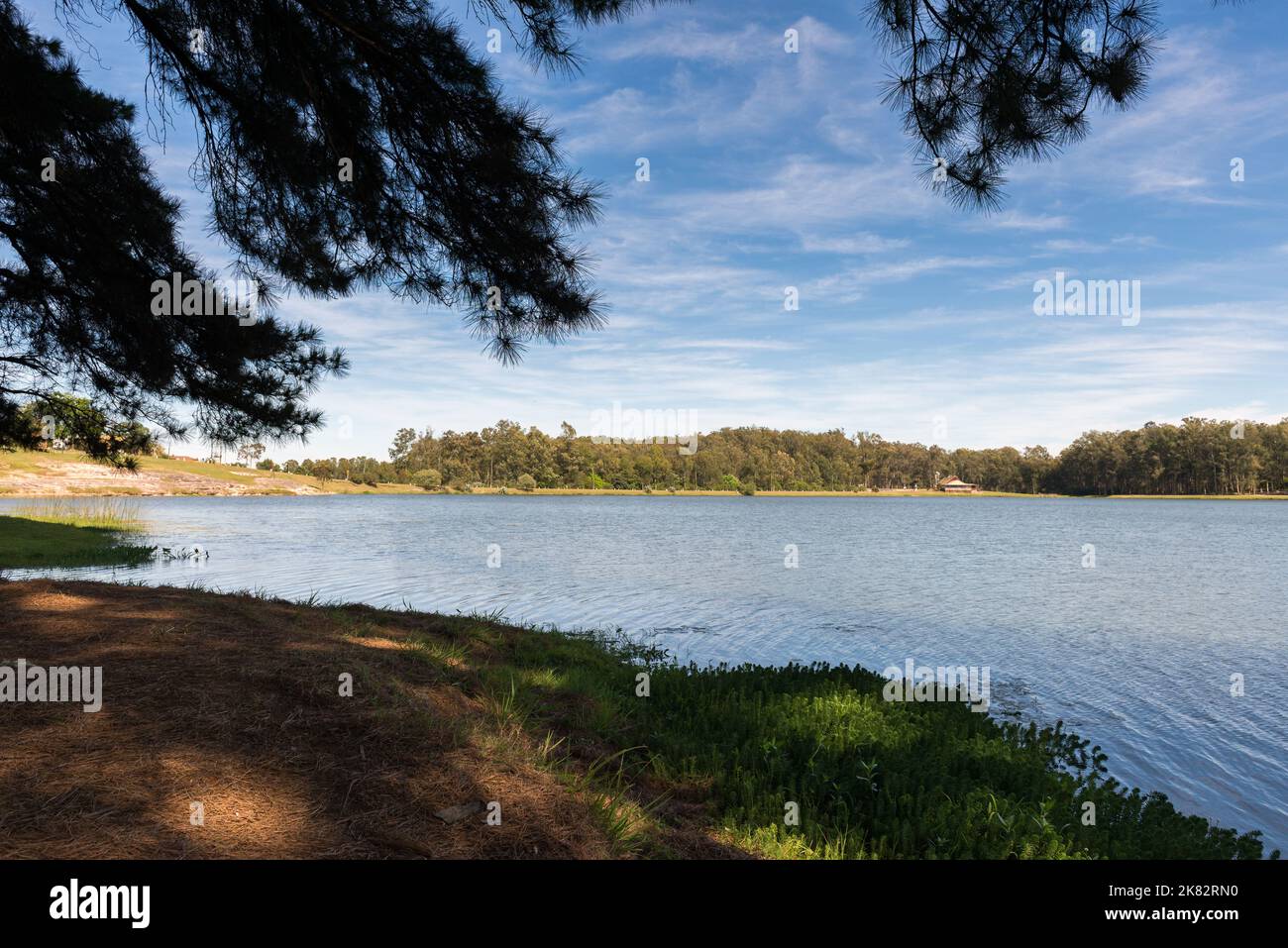 Vue sur le lac à l'ombre de grands pins, par temps ensoleillé mais avec quelques nuages. Balneario Ipora, Taquarembo, Uruguay Banque D'Images