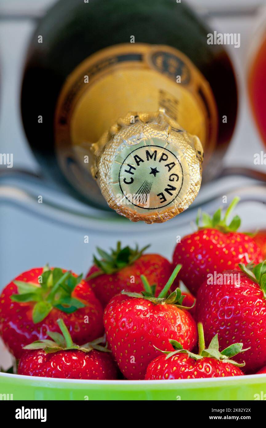 CHAMPAGNE FRAISES bouteille de champagne dans le refroidisseur à vin avec des fraises fraîches prêtes pour un pique-nique en plein air de luxe en plein air Banque D'Images