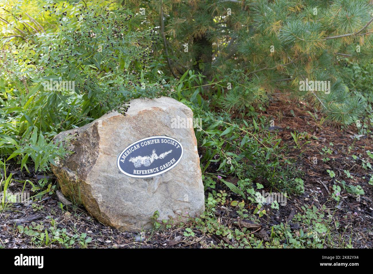 Une plaque sur un rocher à l'entrée du jardin de référence de l'American Conifer Society au jardin botanique de Sonoma, en Californie. Banque D'Images