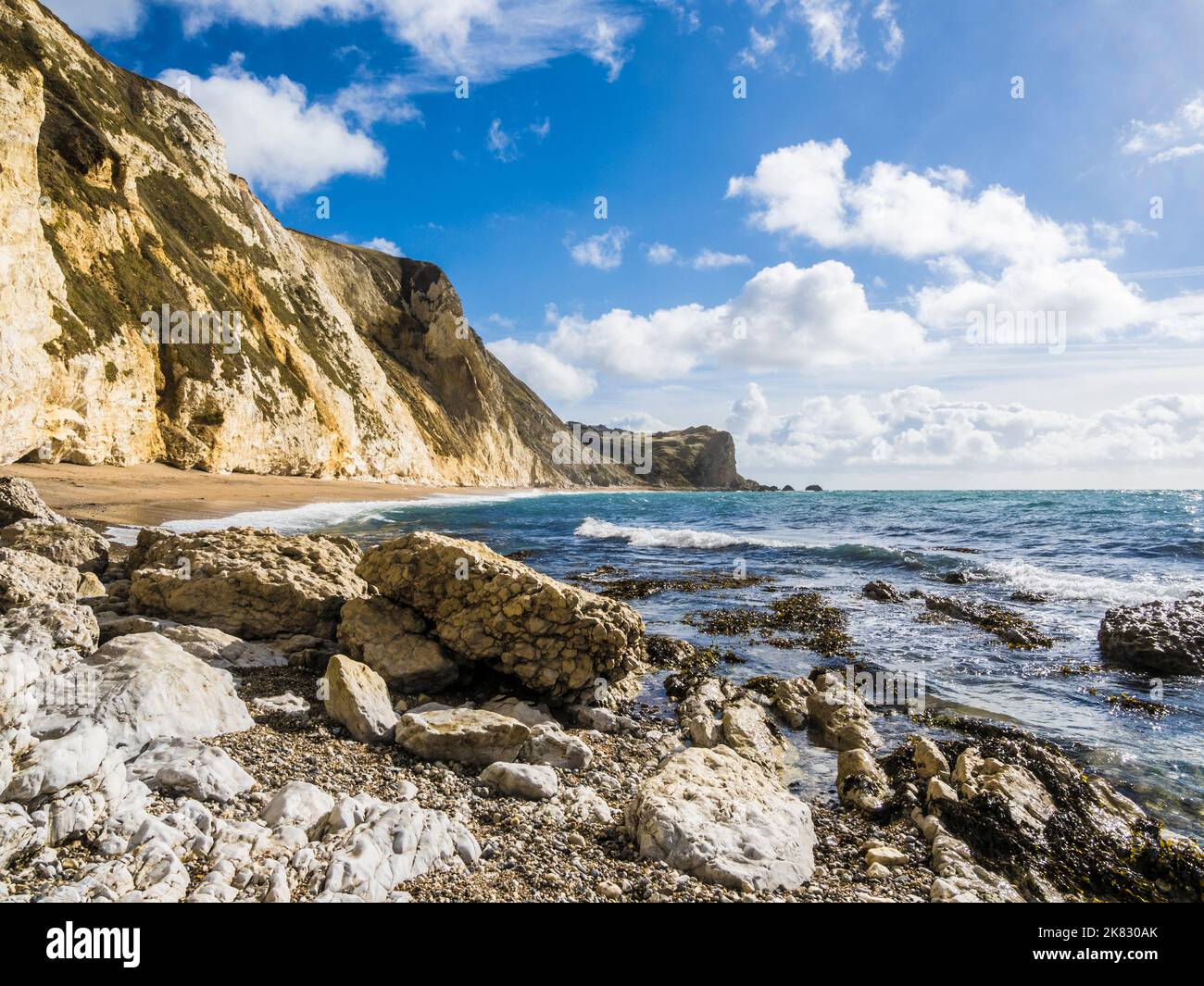 St Oswald's Bay et Dungy Head sur la côte jurassique à Dorset. Banque D'Images