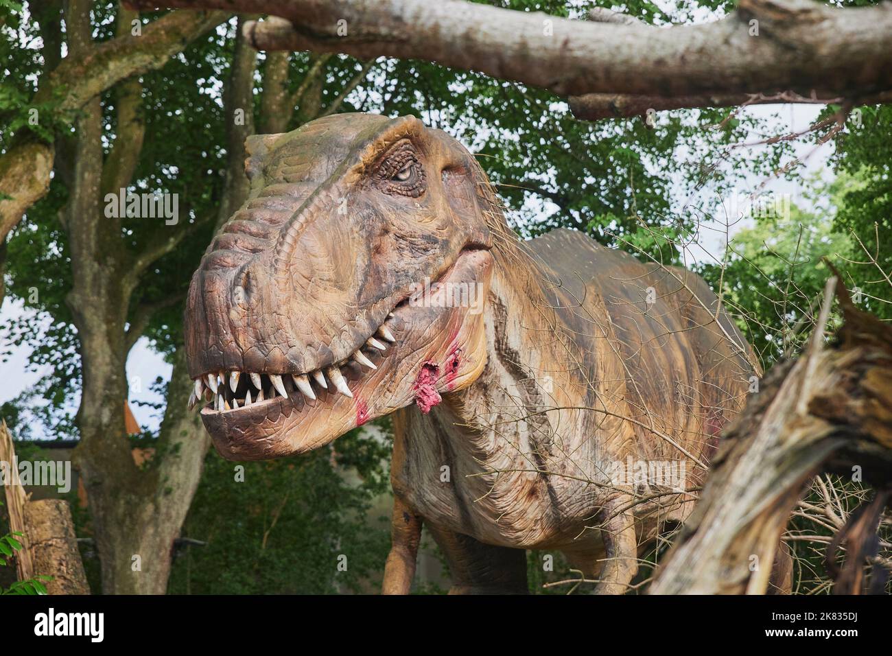 Le géant Tyrannosaur au zoo danois ressemble à un véritable Banque D'Images
