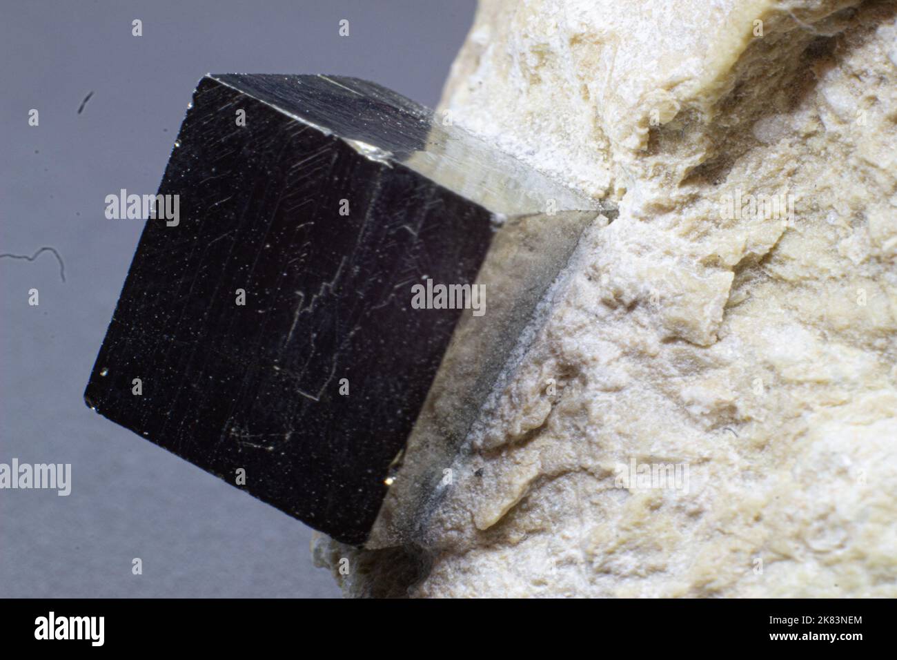 Macro-cubique pyrite sur matrice blanche isolée sur fond gris Banque D'Images